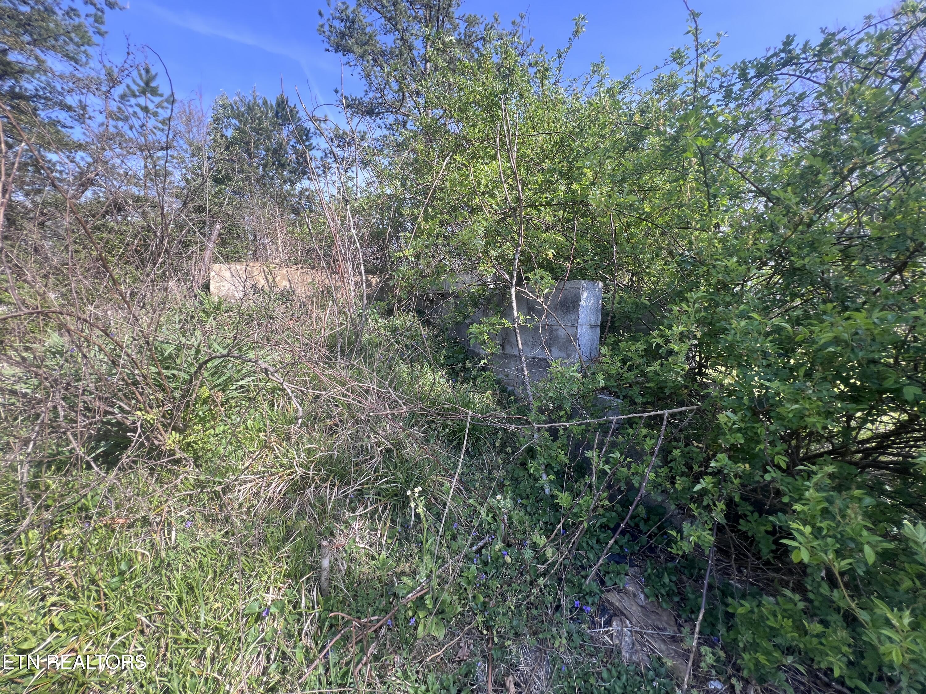 554 Mary Cromwell Road Jamestown TN 38556