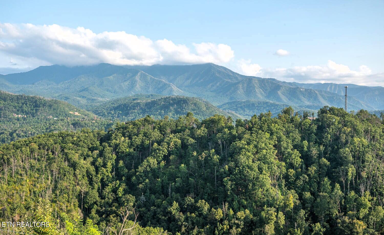 907 Village Loop Road Gatlinburg TN 37738