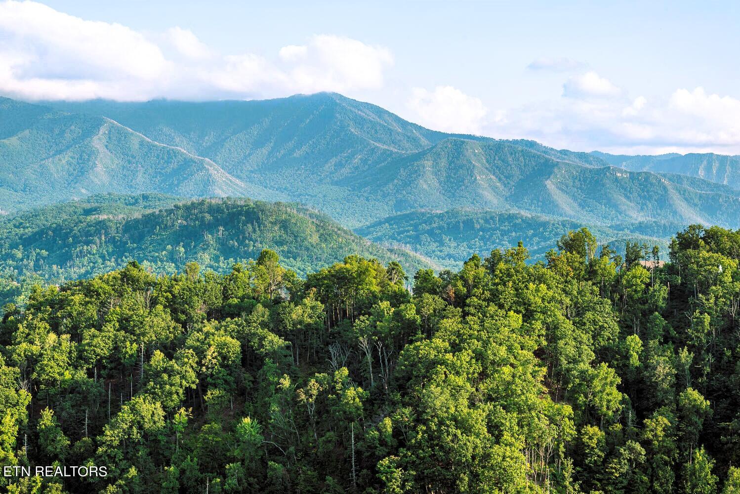 907 Village Loop Road Gatlinburg TN 37738