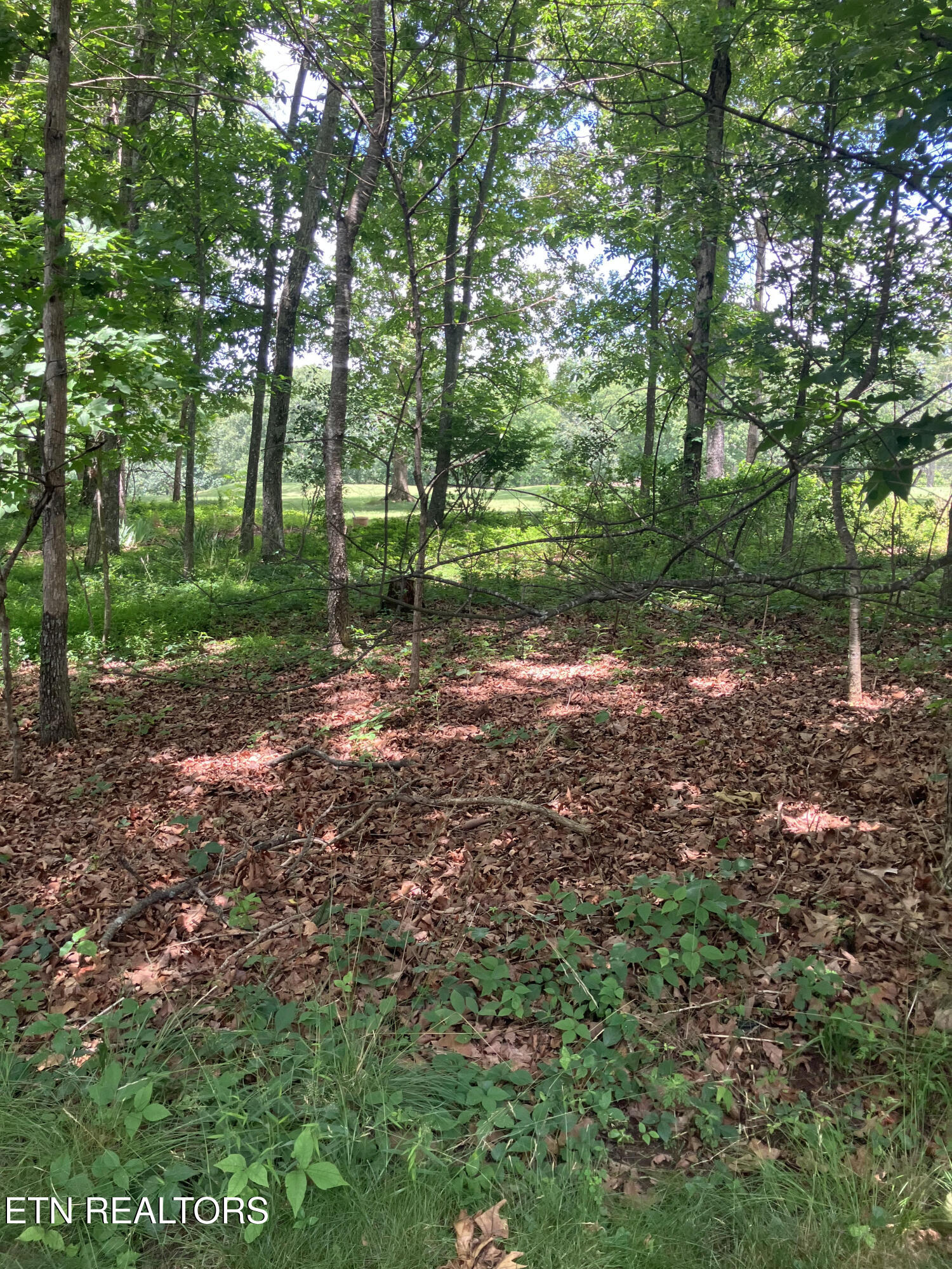 150 Greenwood Road Crossville TN 38558