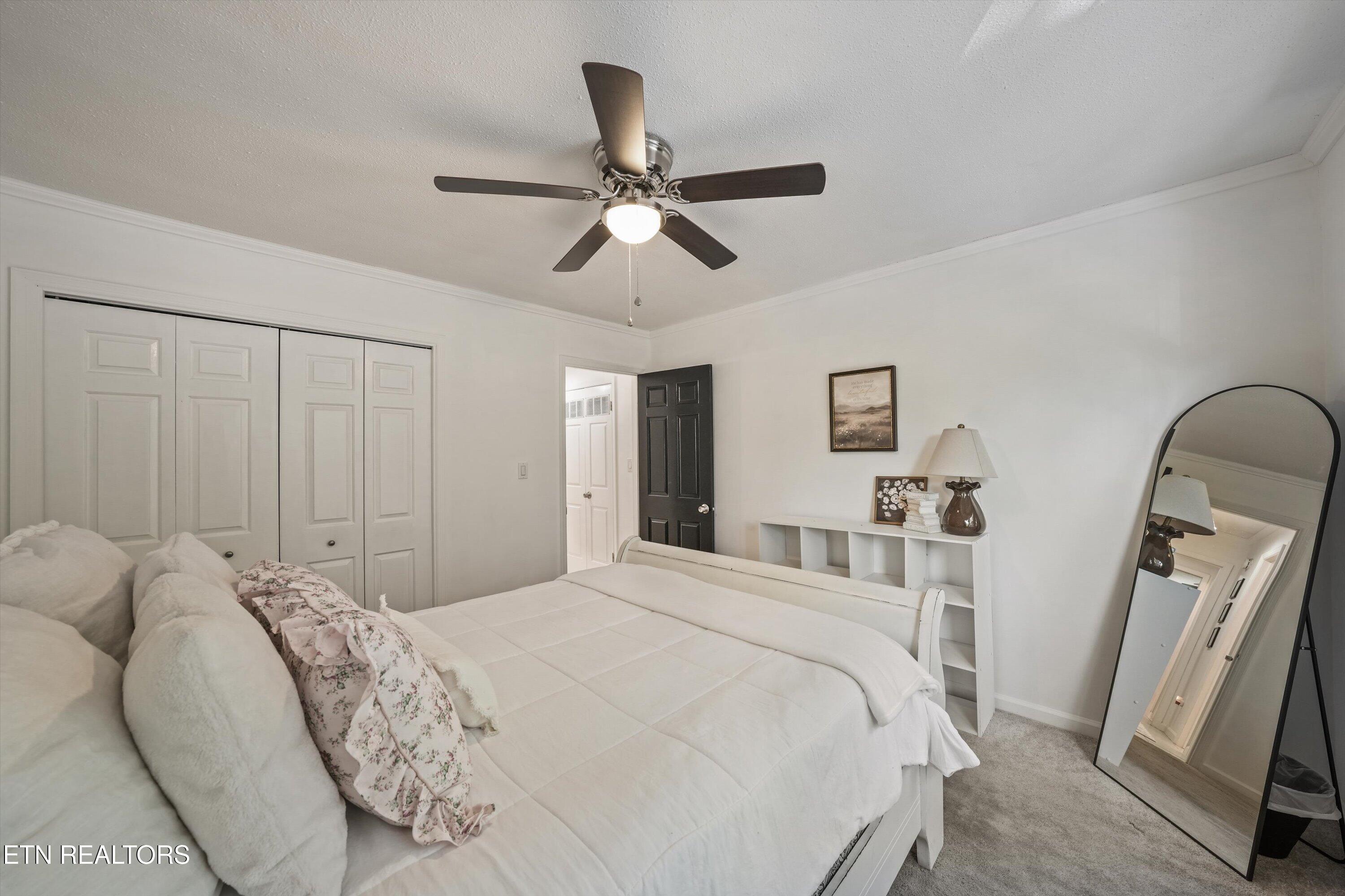 3847 Tambark Drive Knoxville TN 37917