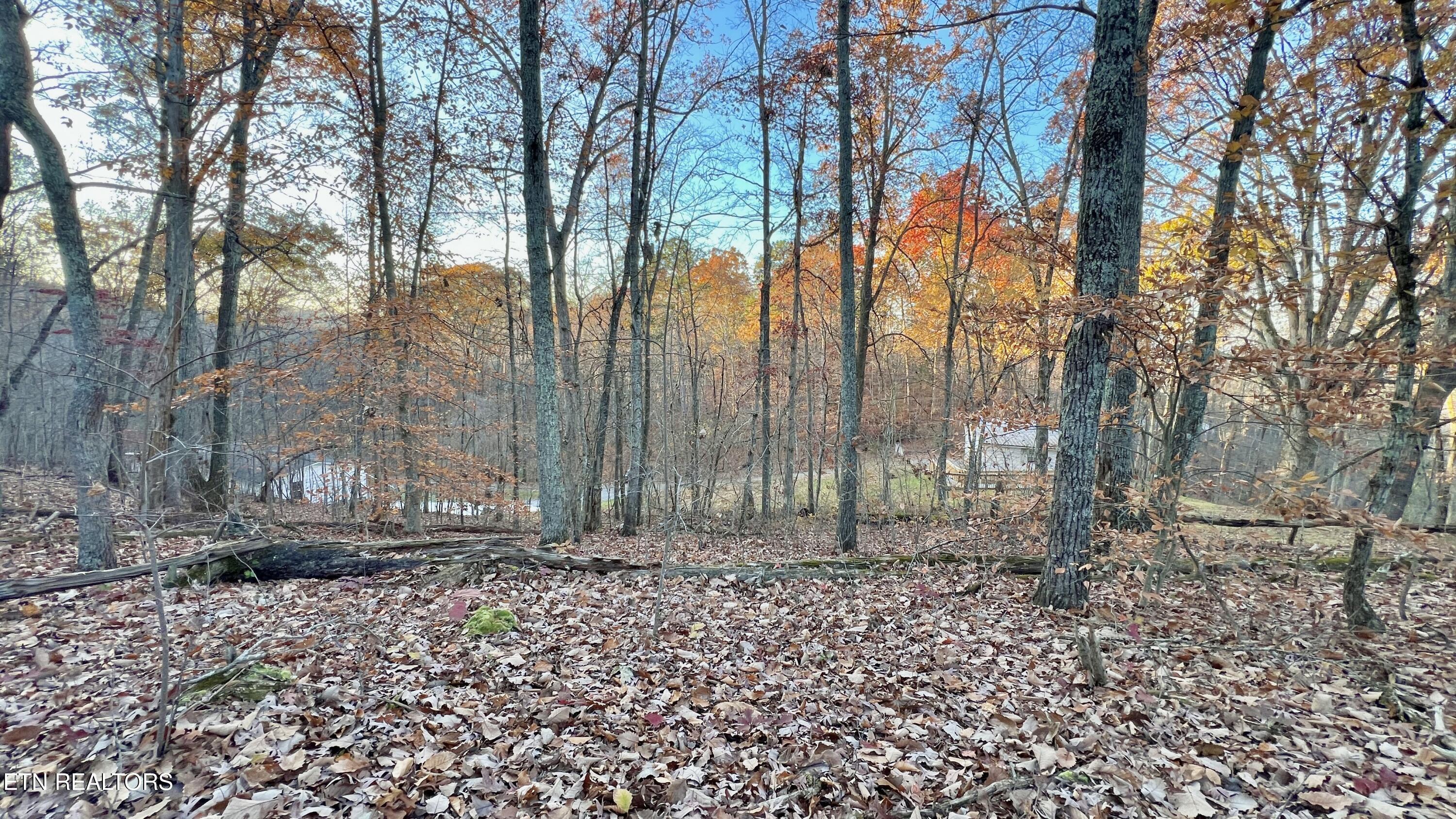 9115/9119 Chapman Highway Knoxville TN 37920