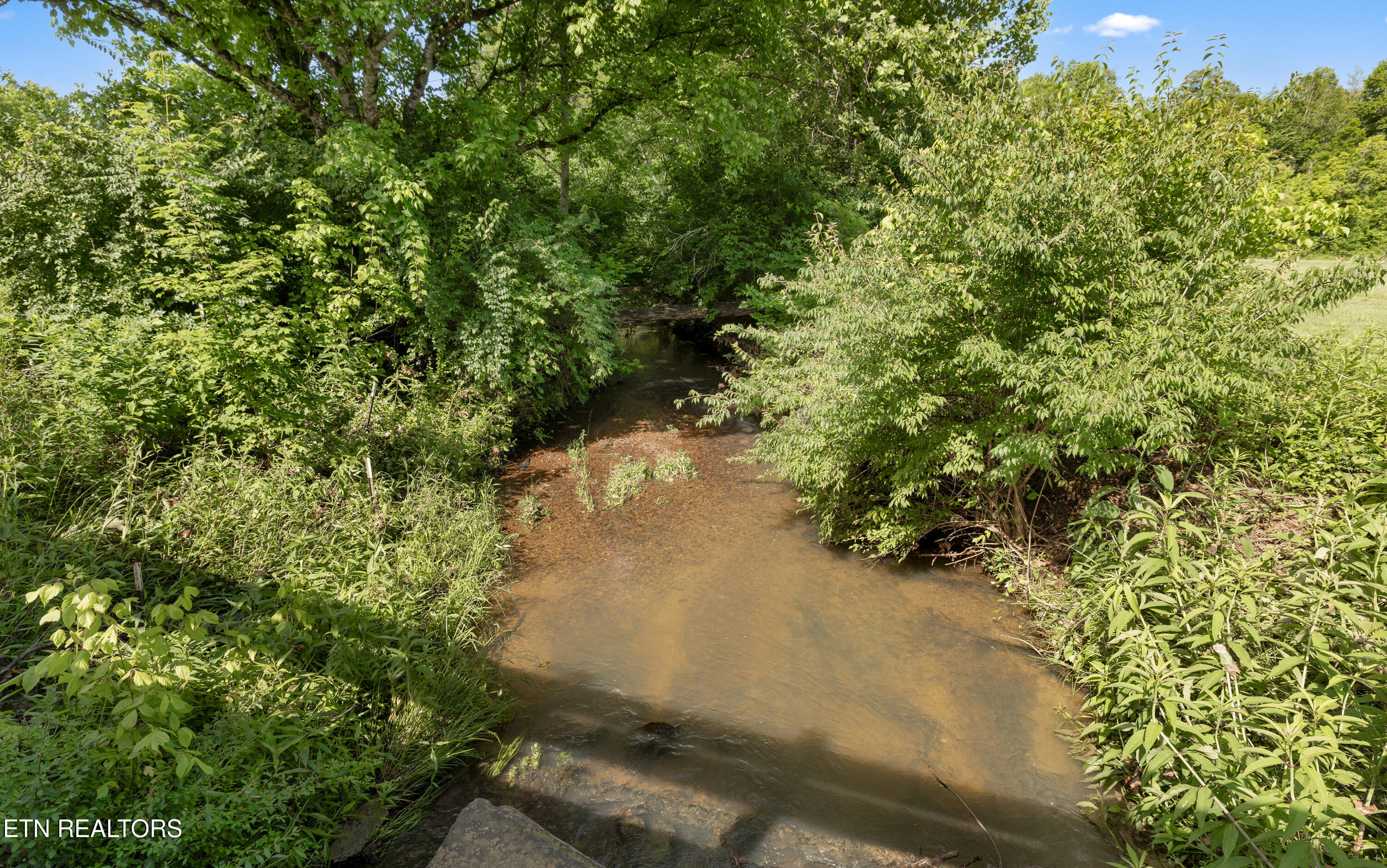 1920 Hidden Springs Road Knoxville TN 37914