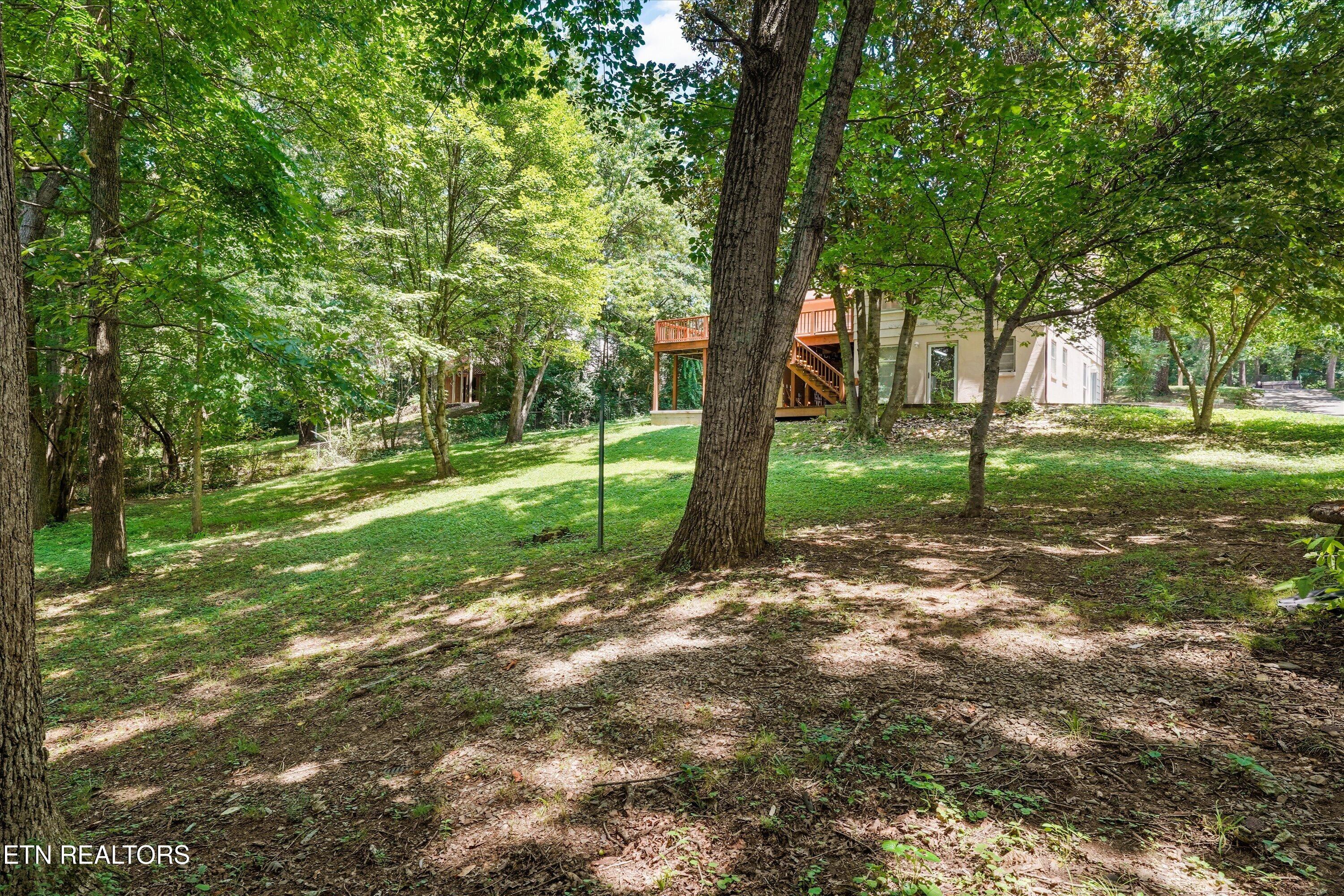 2309 Black Bear Road Knoxville TN 37923