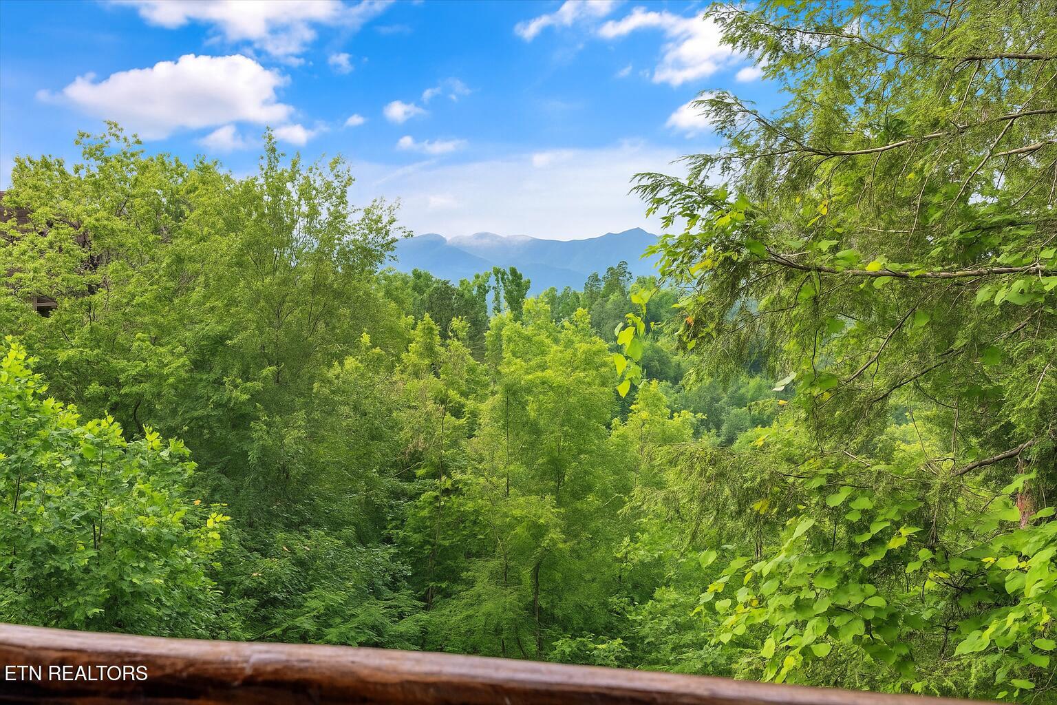 808 Great Smoky Way Gatlinburg TN 37738