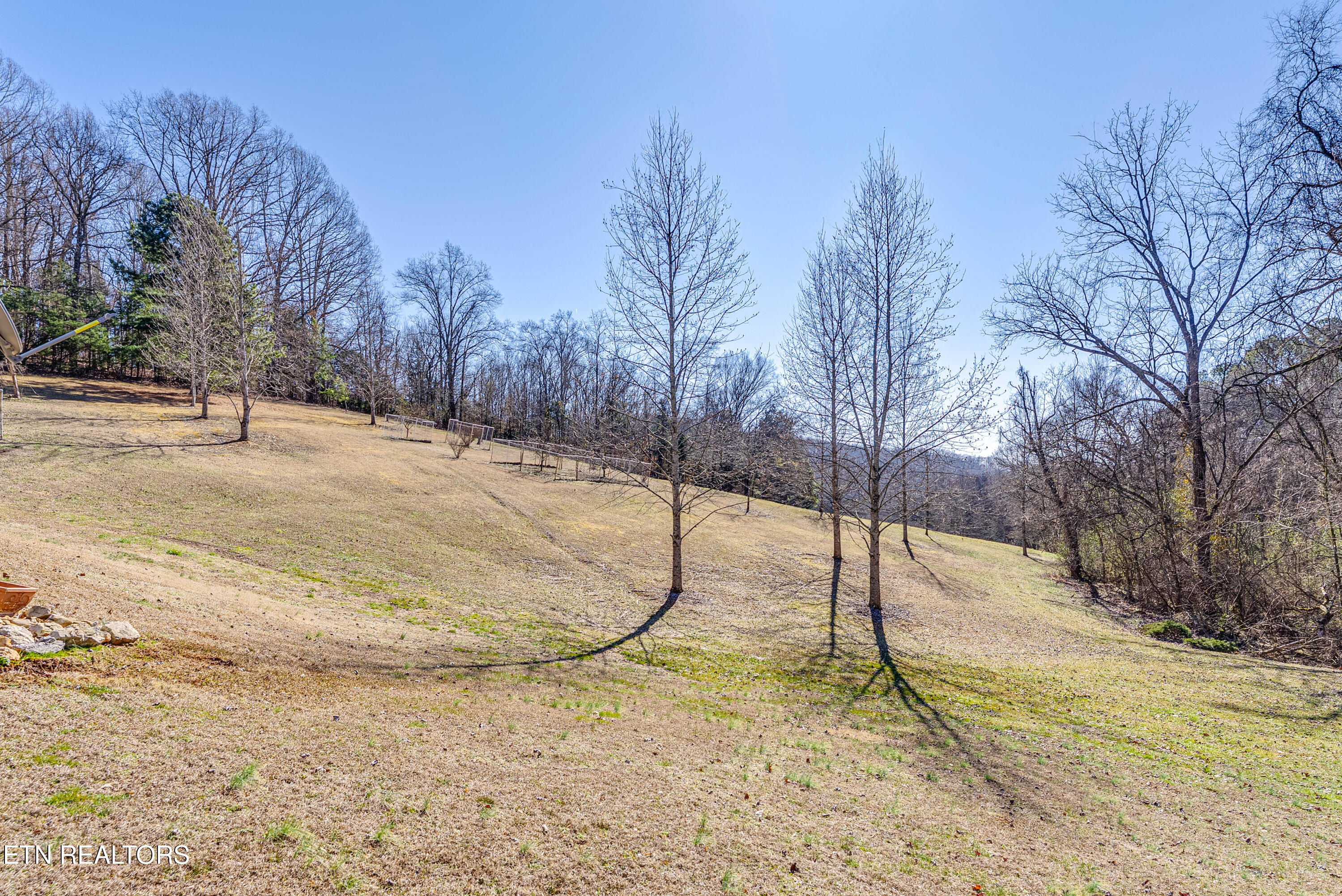 292 Burkhart Road Rutledge TN 37861