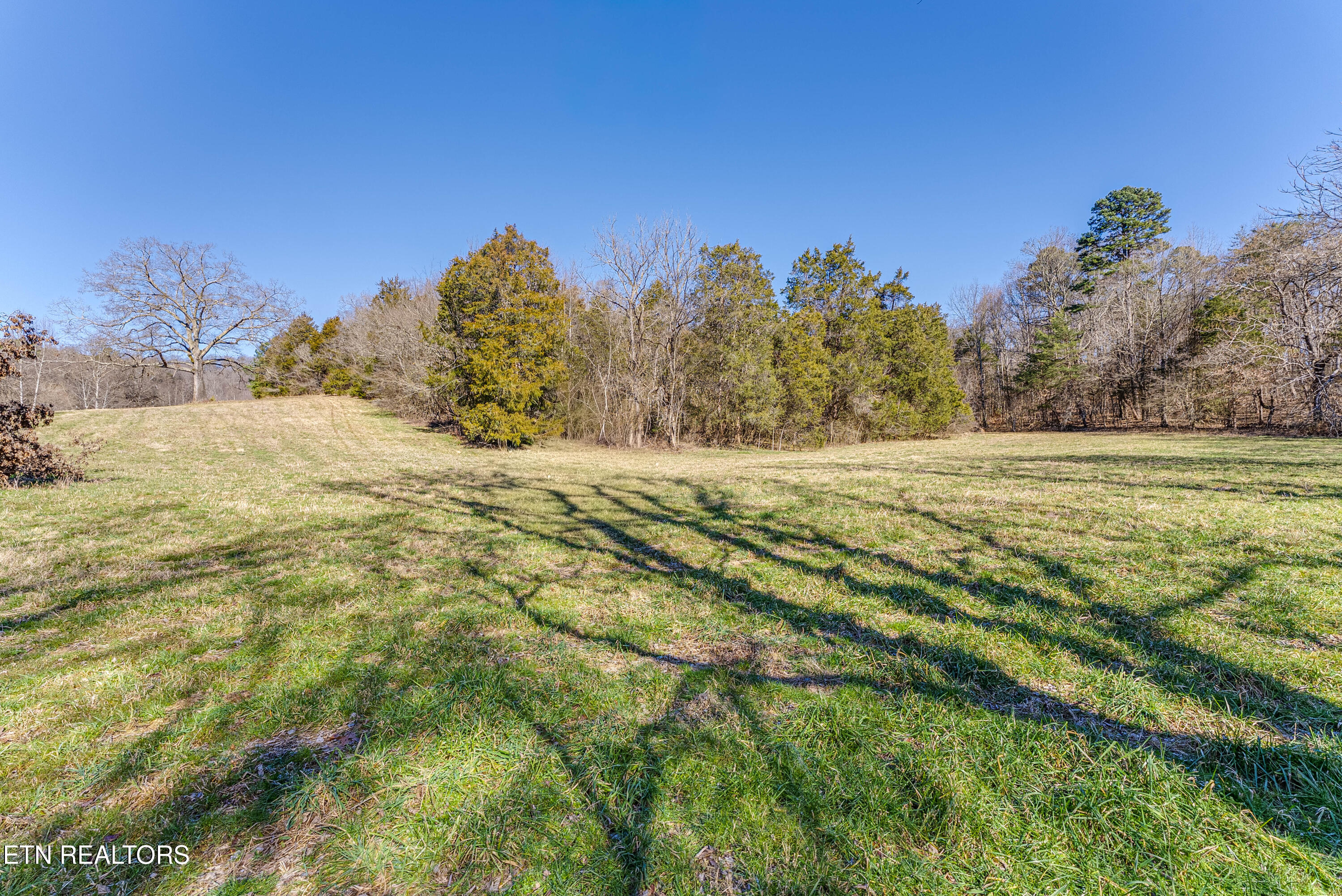 292 Burkhart Road Rutledge TN 37861