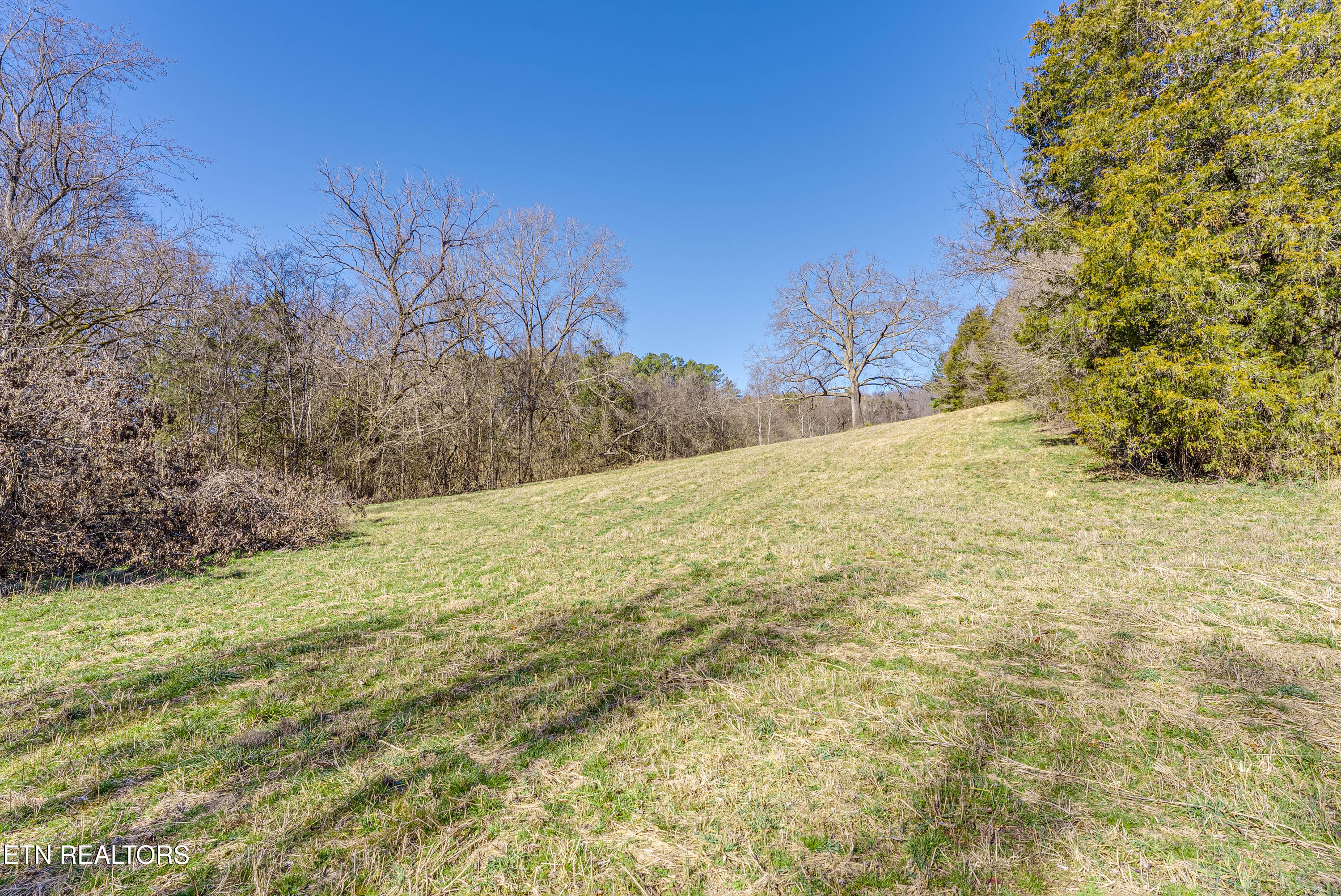 292 Burkhart Road Rutledge TN 37861