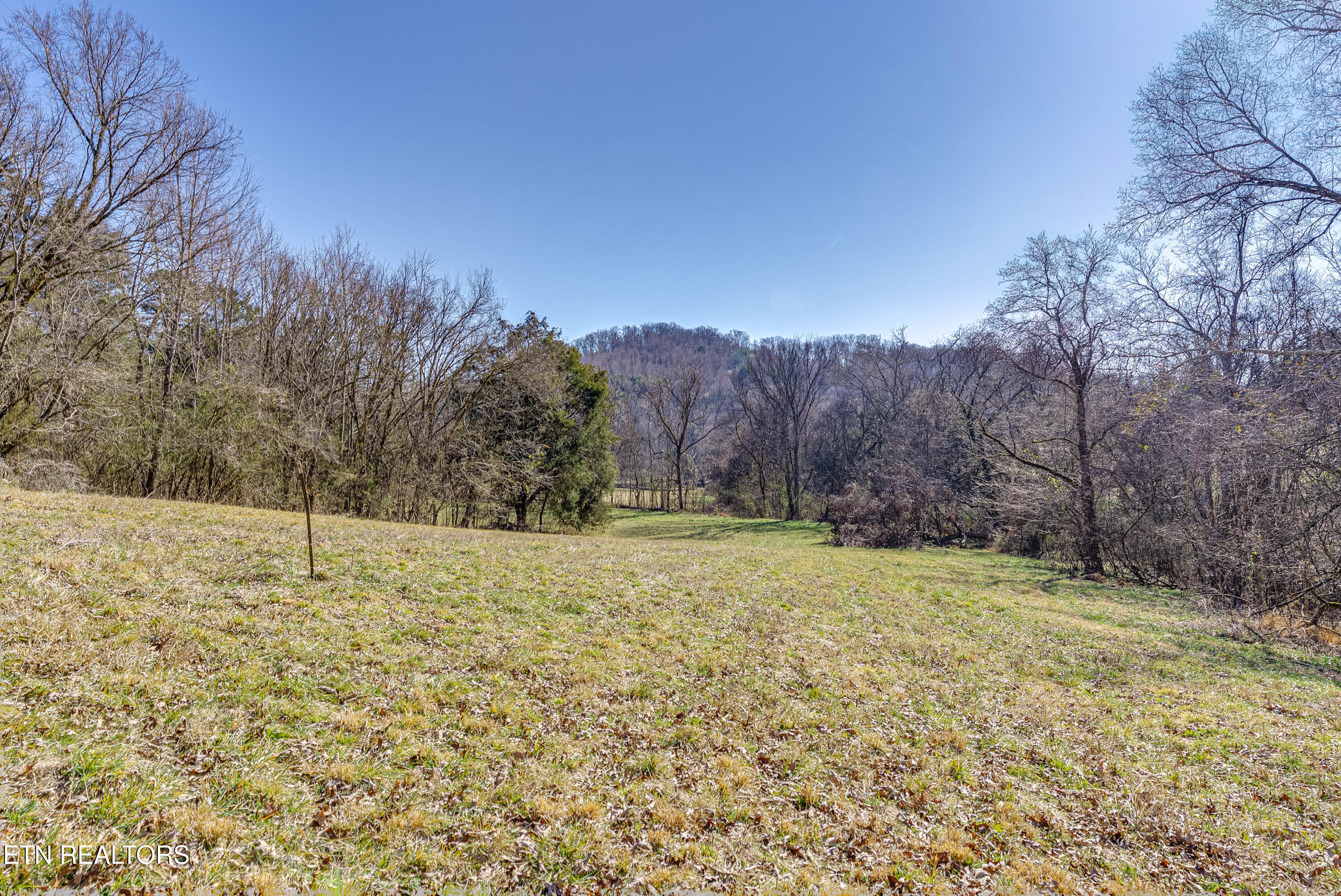 292 Burkhart Road Rutledge TN 37861