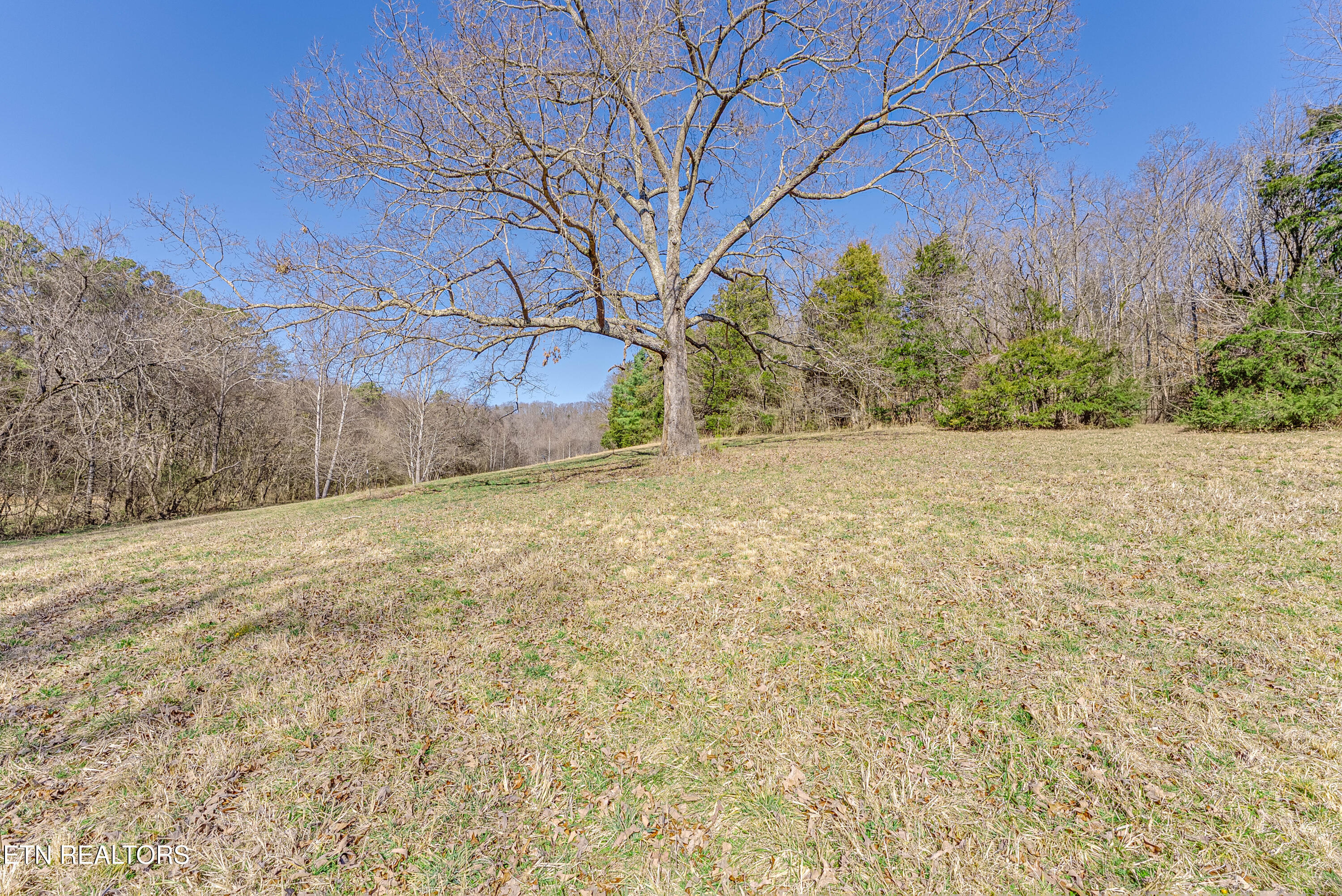 292 Burkhart Road Rutledge TN 37861