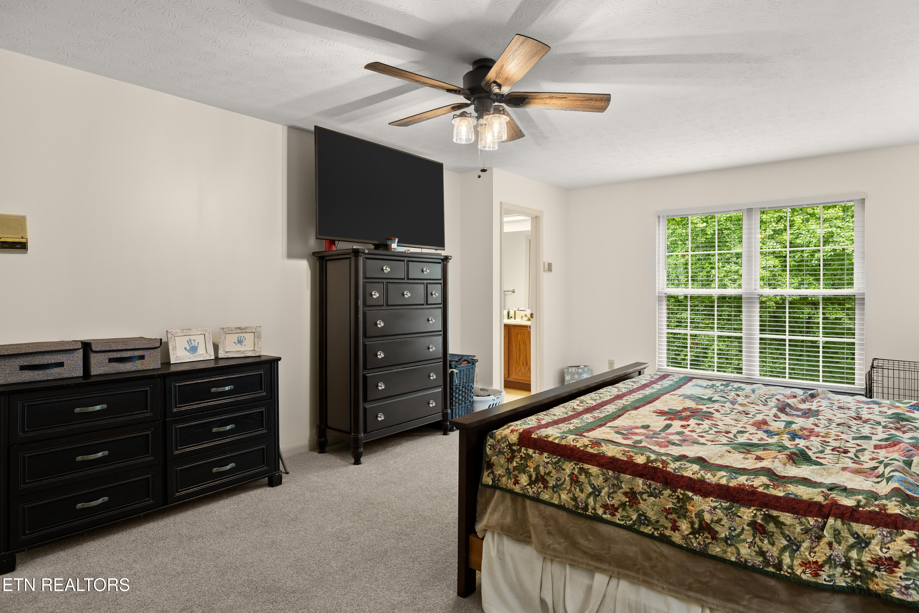 1404 Mimosa Drive Louisville TN 37777