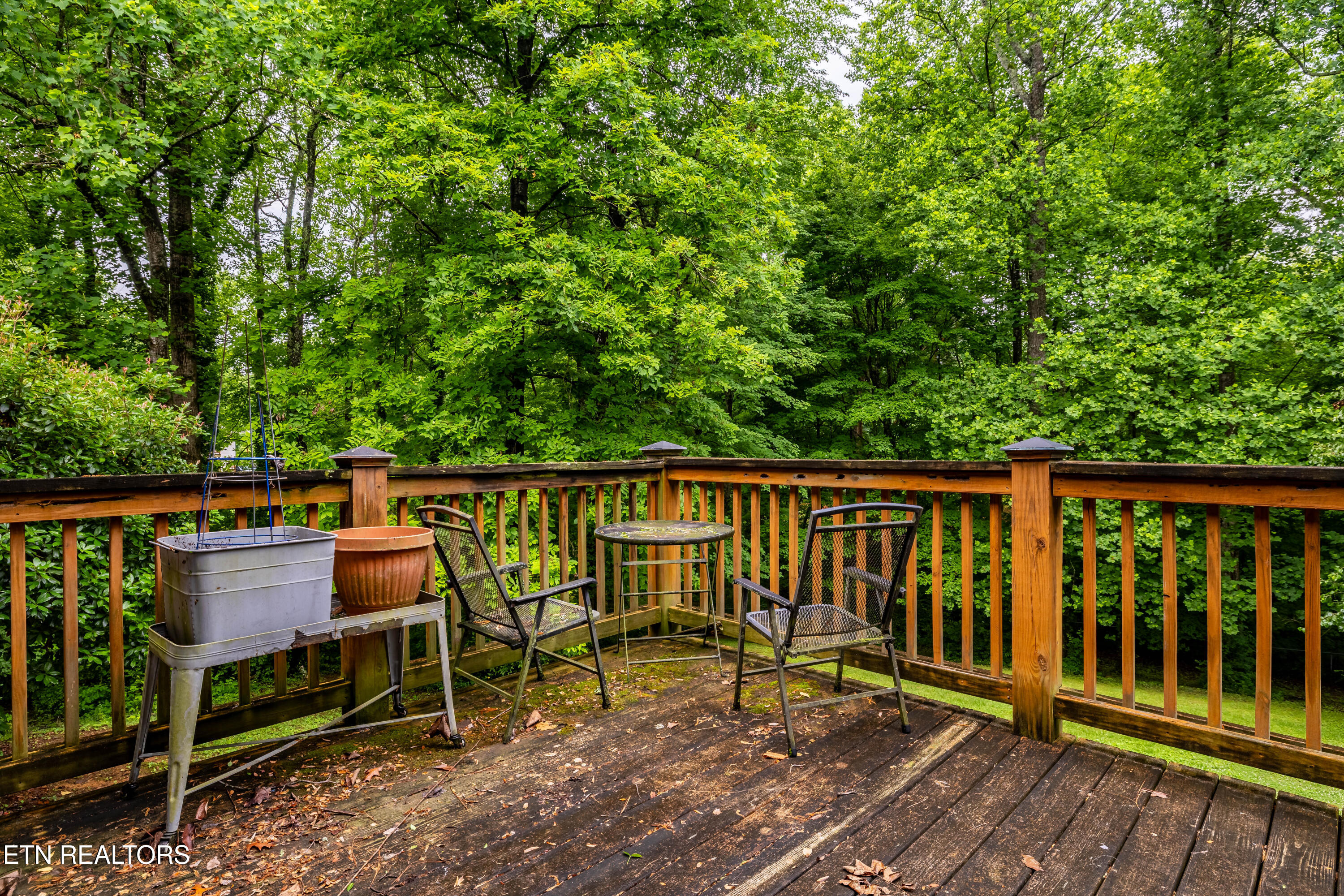 1404 Mimosa Drive Louisville TN 37777