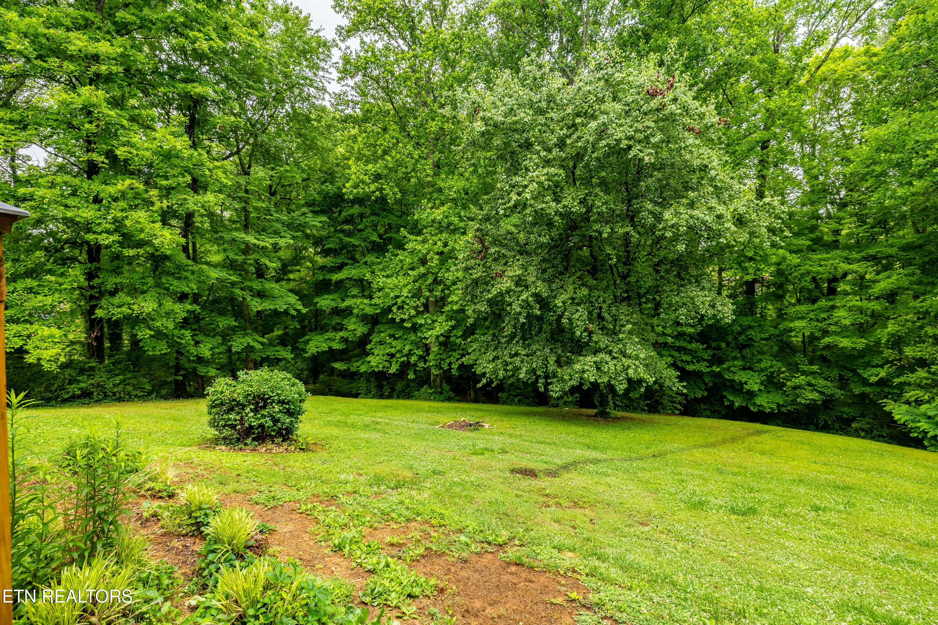 1404 Mimosa Drive Louisville TN 37777