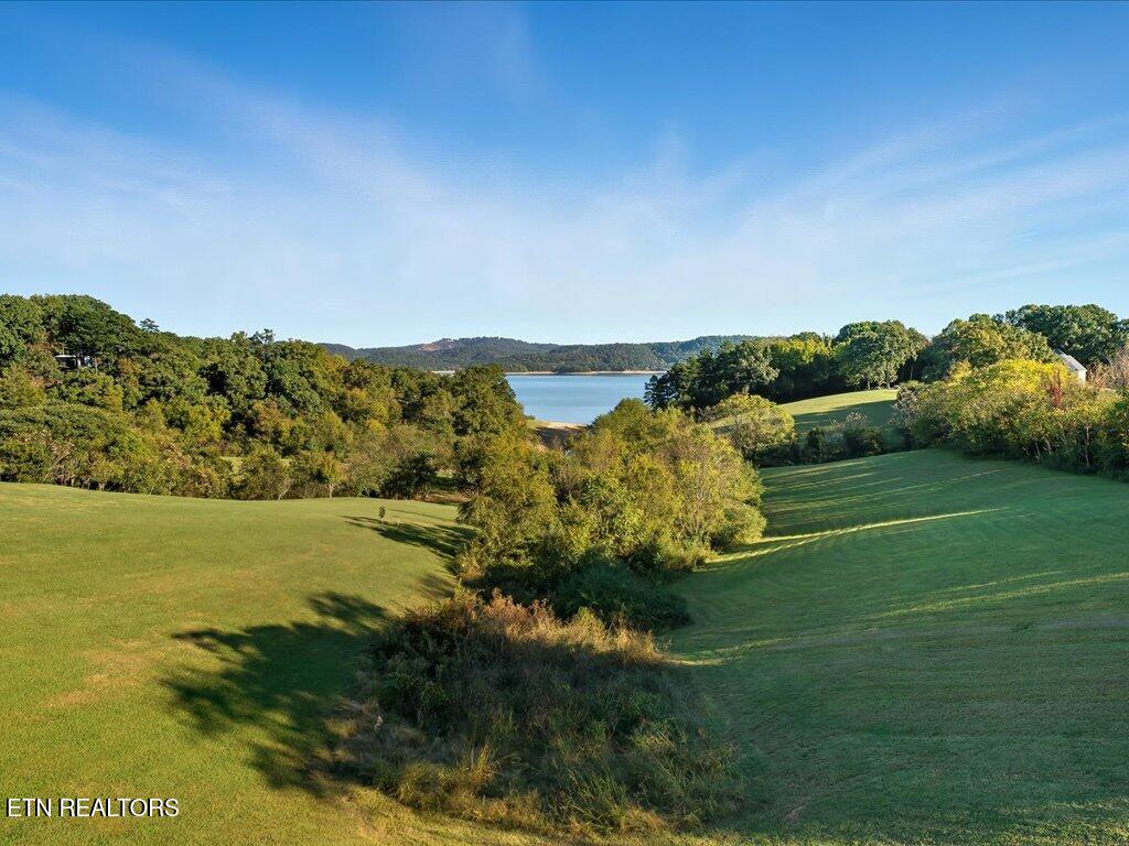 736 Cow Poke Lane Rutledge TN 37861