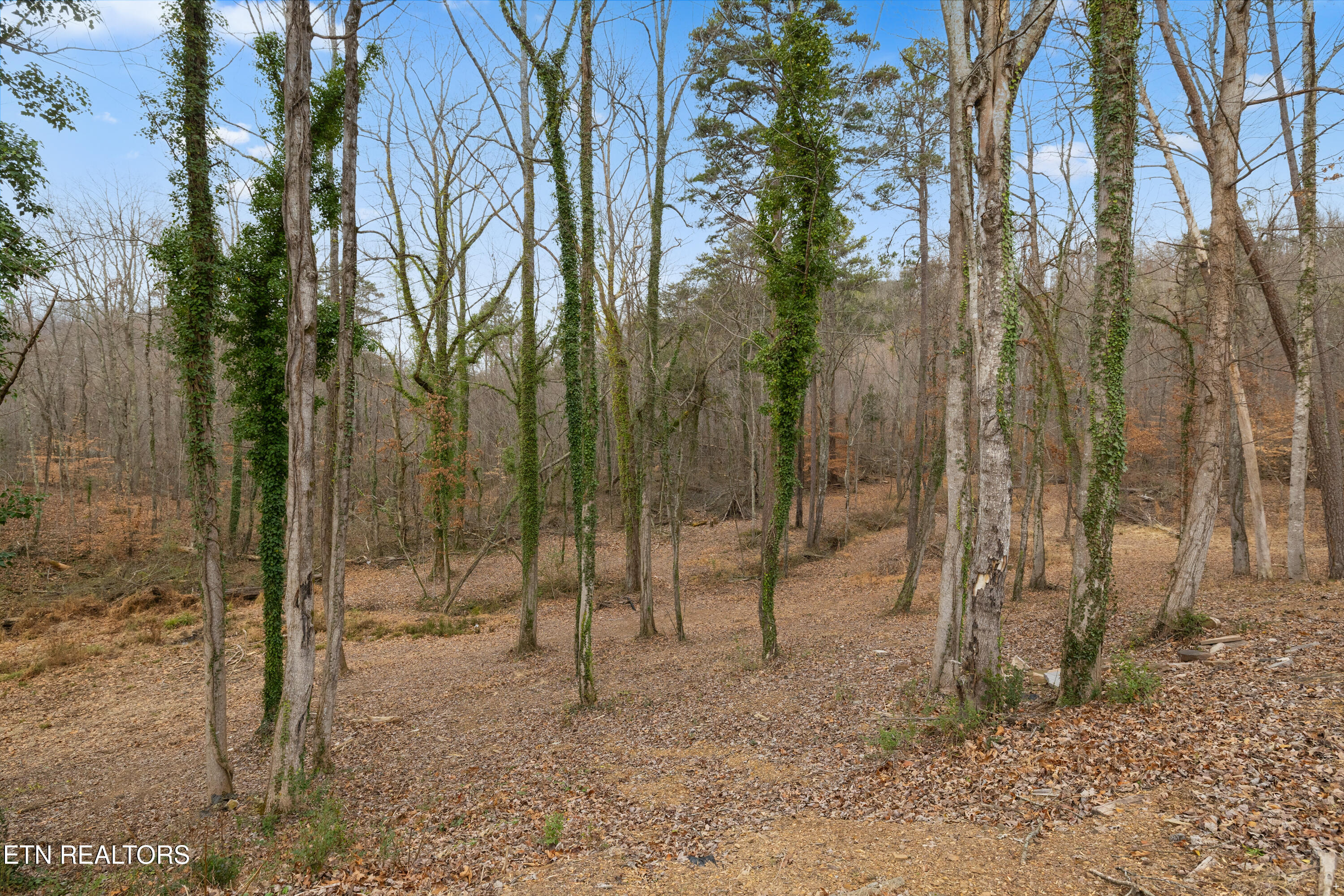 8431 Rising Sun Drive Corryton TN 37721