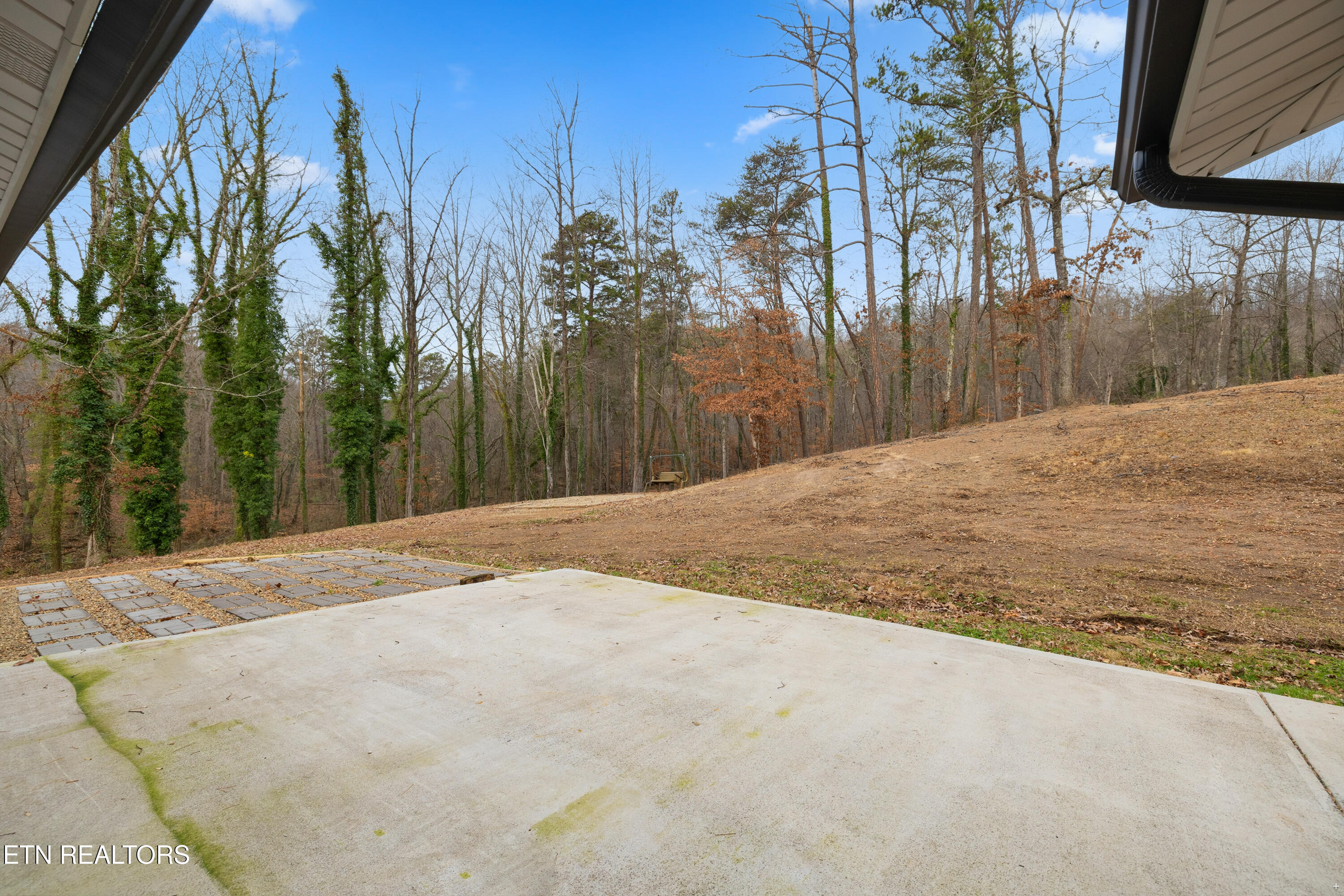 8431 Rising Sun Drive Corryton TN 37721