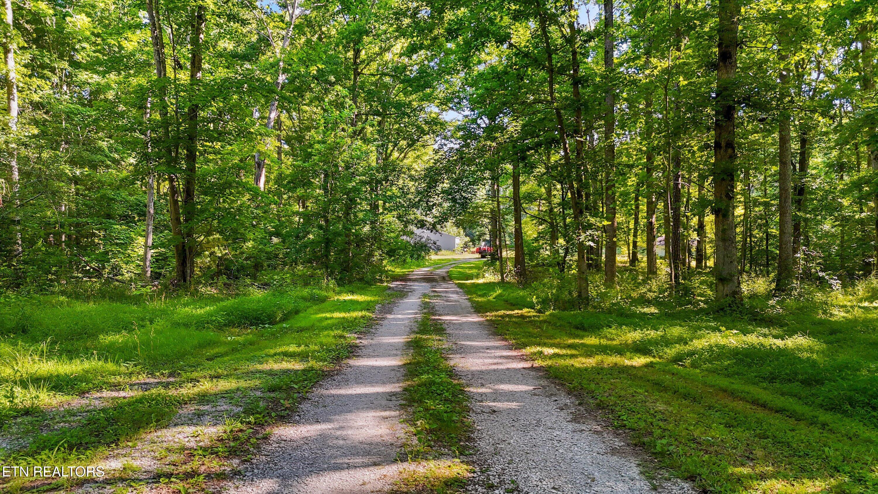 1527 Terry Road Oneida TN 37841