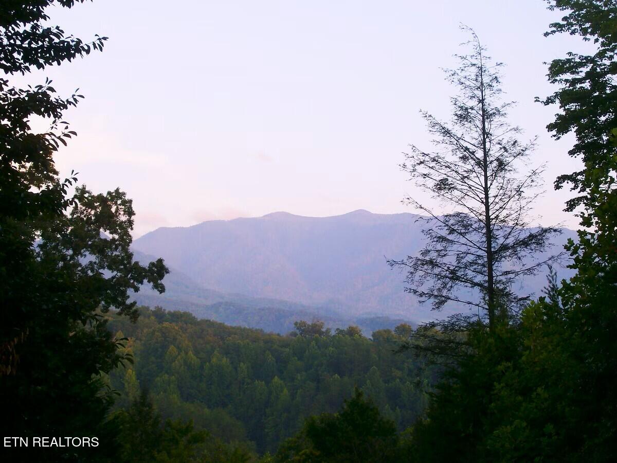 742 Yona Trail Way Gatlinburg TN 37738