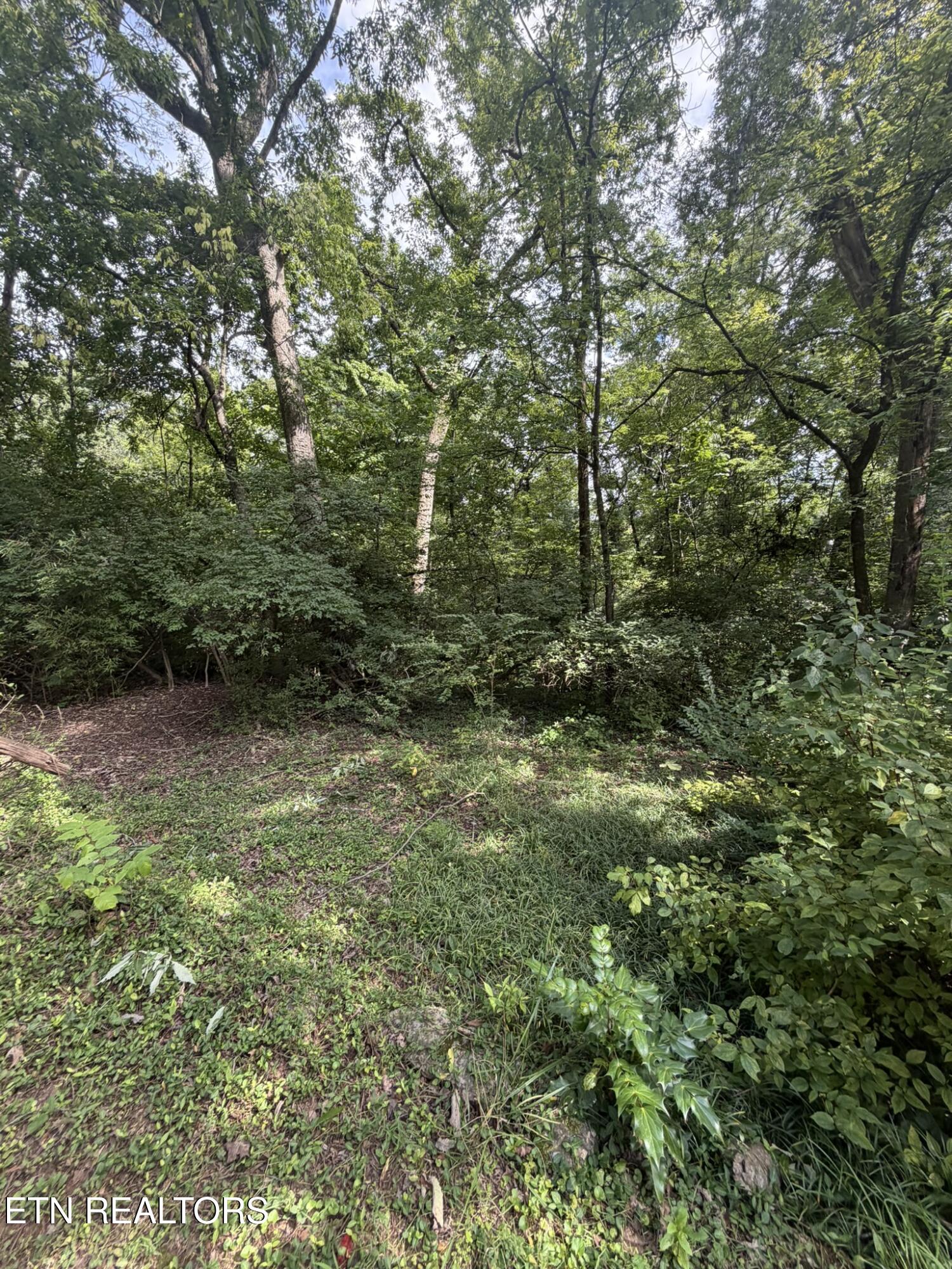5704 Rockhaven Road Knoxville TN 37920