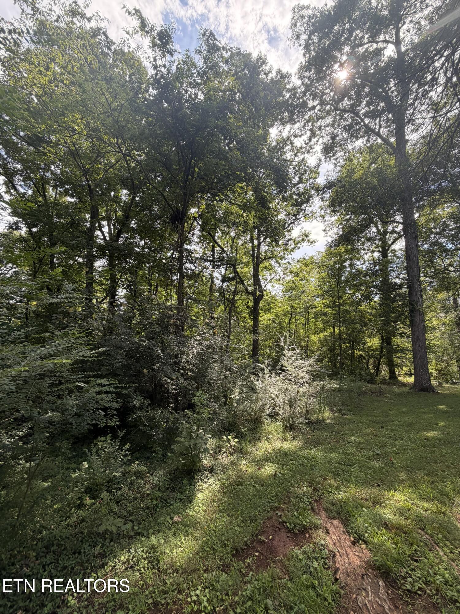 5704 Rockhaven Road Knoxville TN 37920
