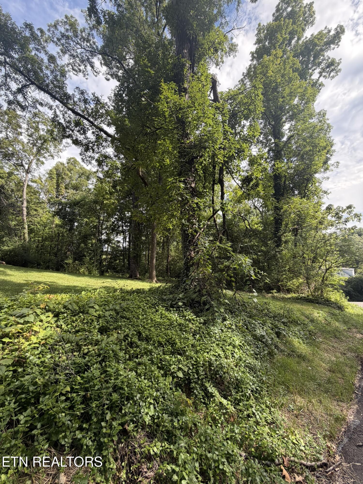 5704 Rockhaven Road Knoxville TN 37920
