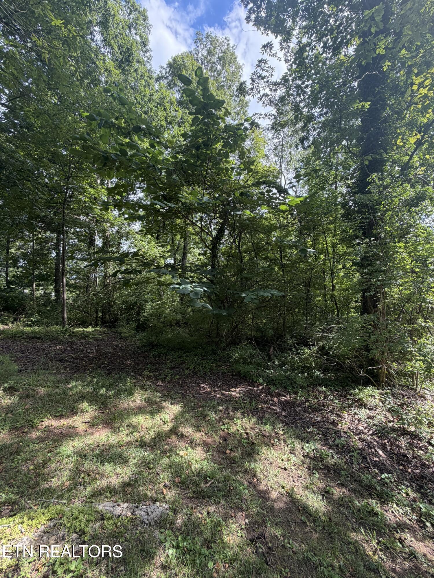 5704 Rockhaven Road Knoxville TN 37920