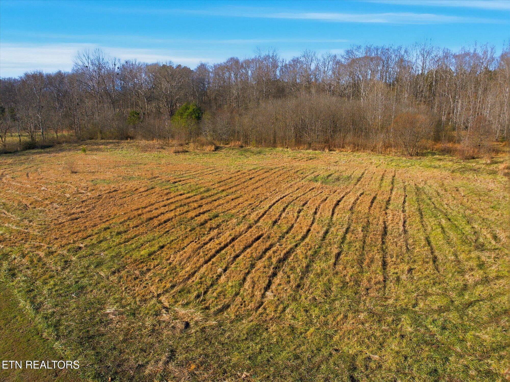 418 County Road 61 Riceville TN 37370