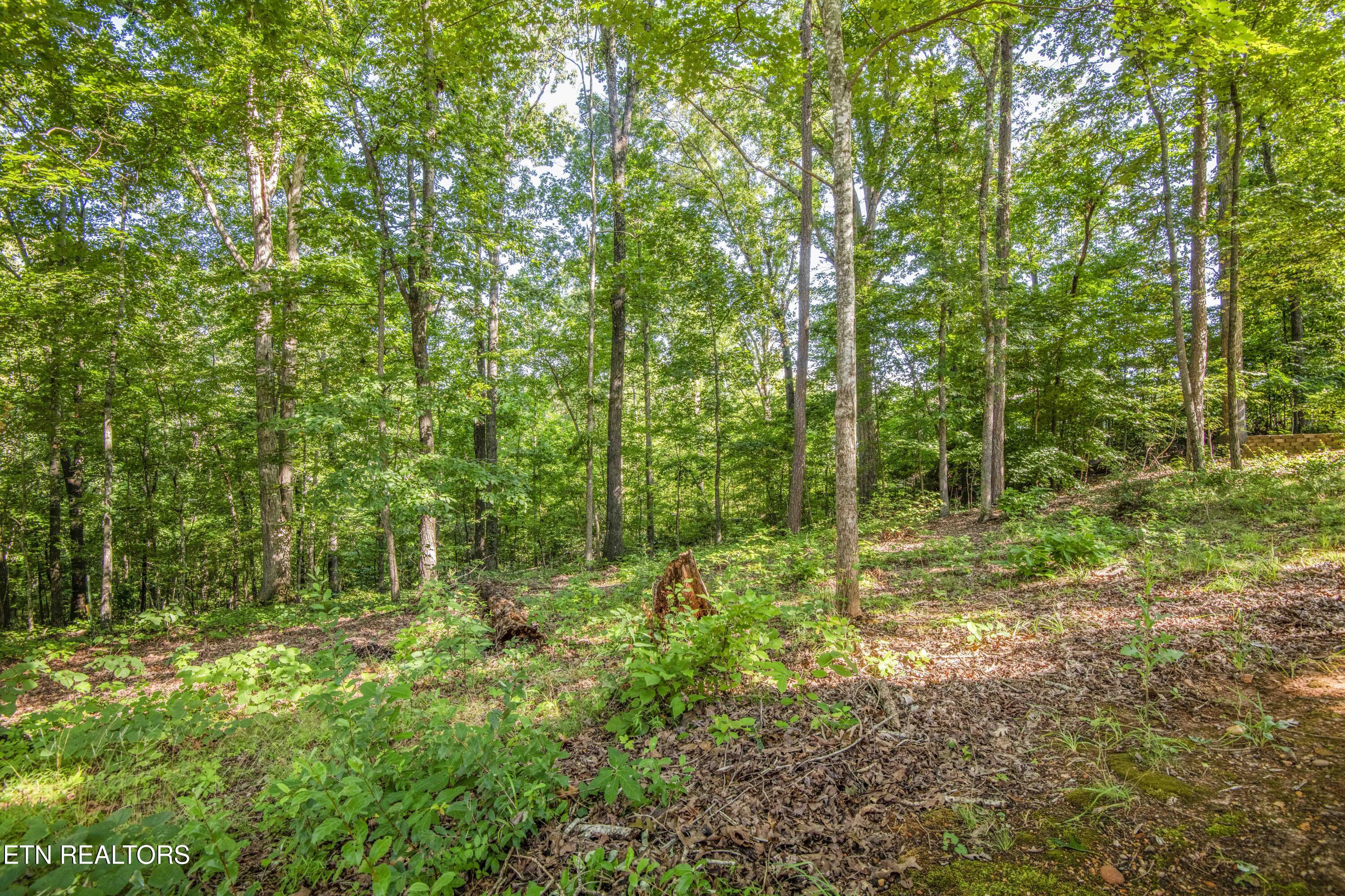 135 Kawatuska Way Loudon TN 37774