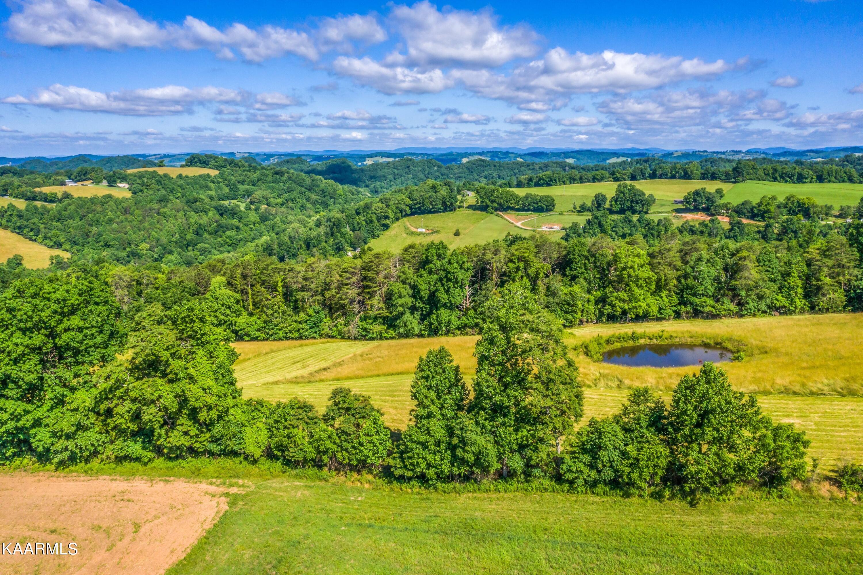 745 Ronald Holt Lane Tazewell TN 37879