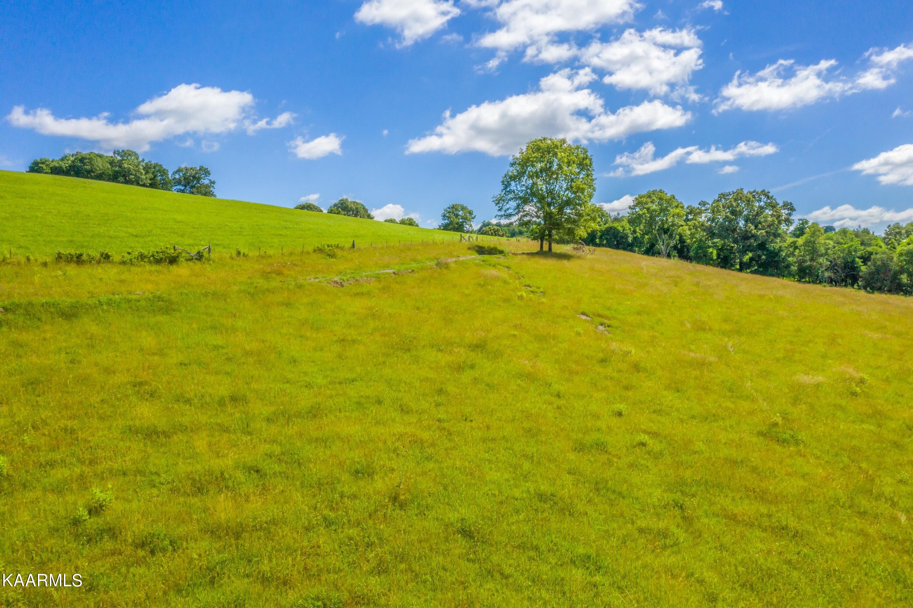 745 Ronald Holt Lane Tazewell TN 37879