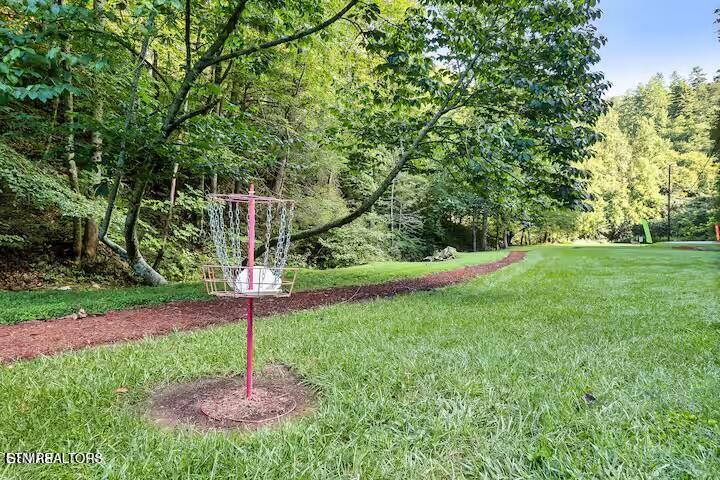 2645 Black Walnut Flats Road Sevierville TN 37862