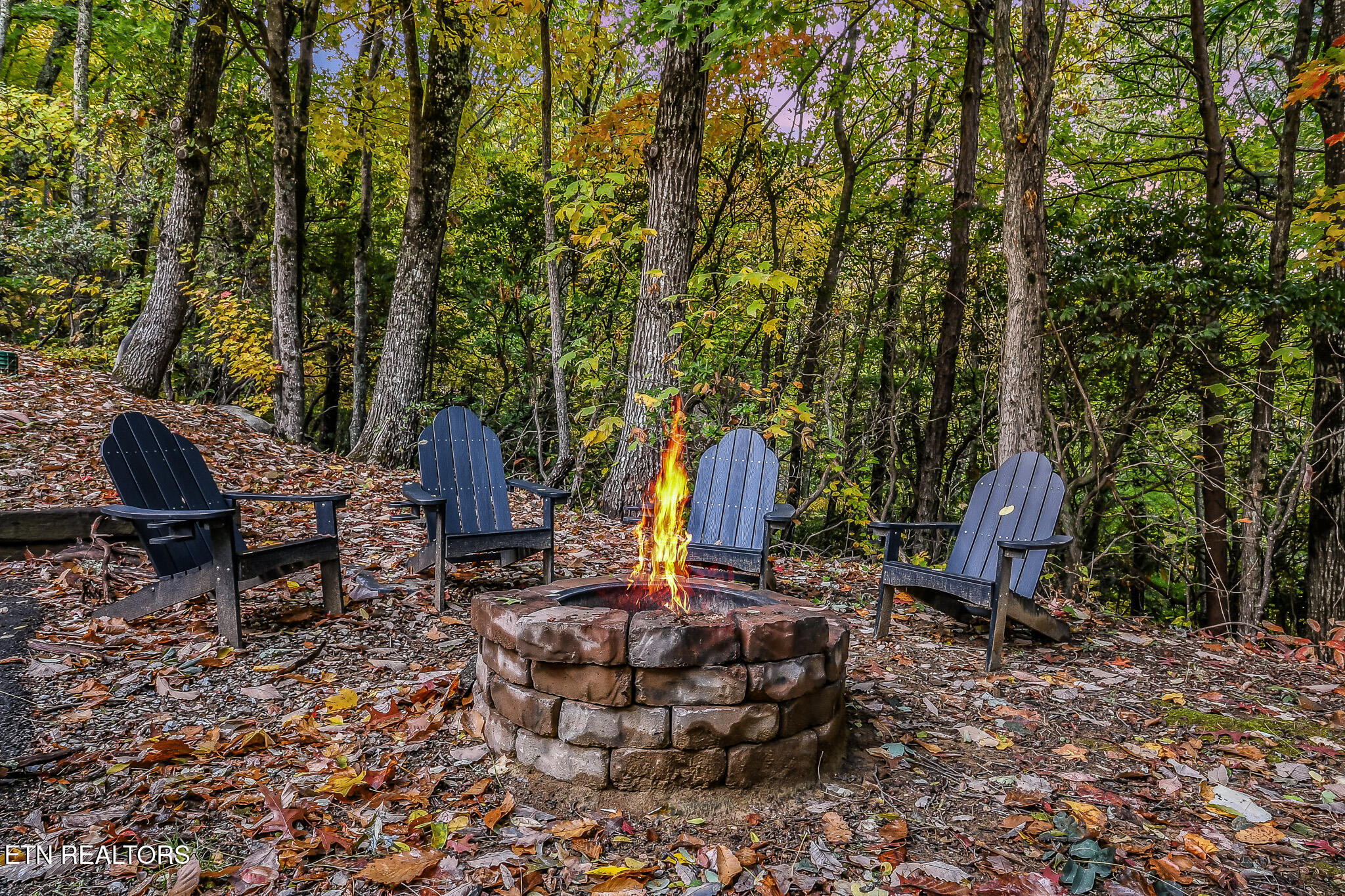 1819 W Arolla Ct. Court Gatlinburg TN 37738