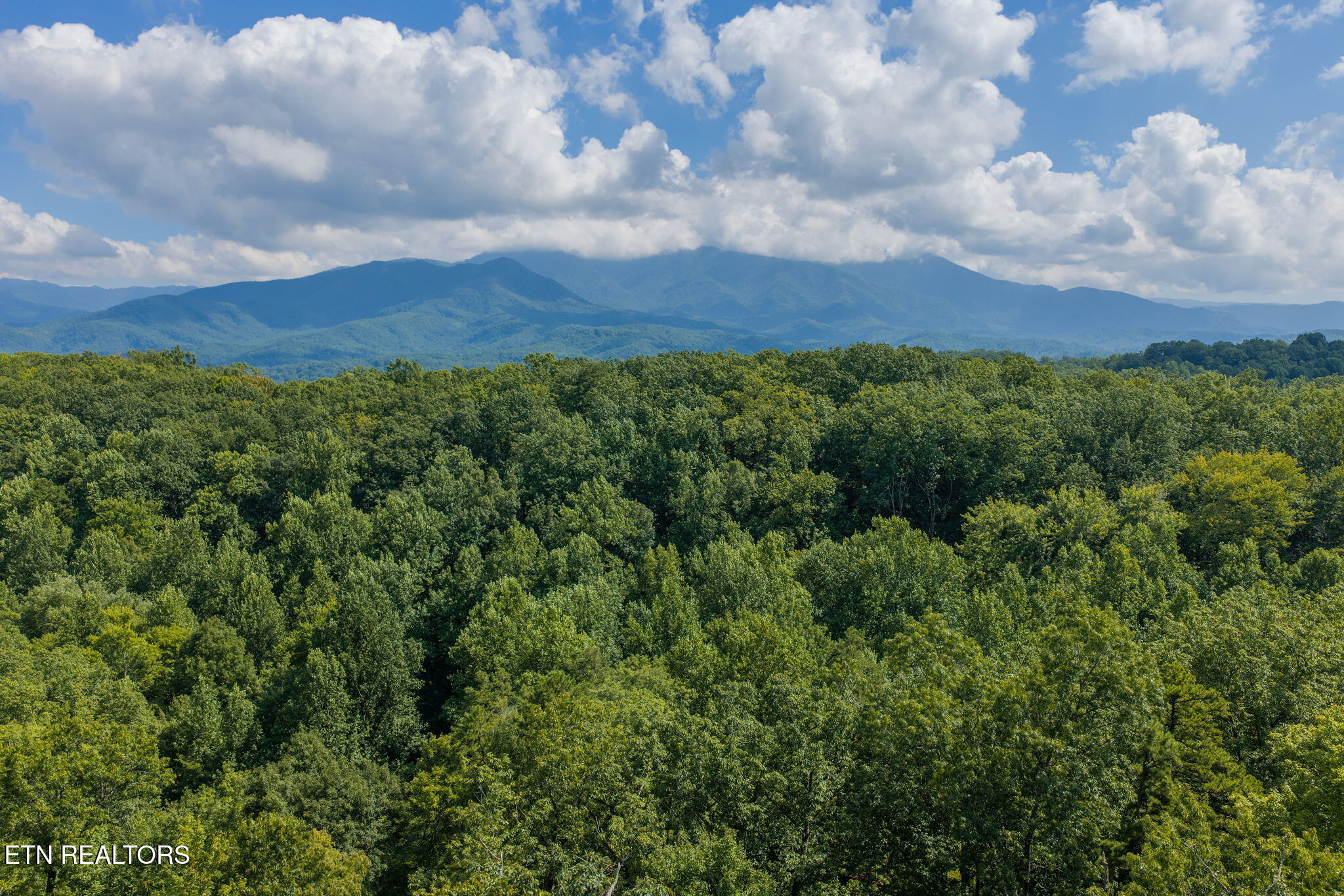 2053 Settlers Ridge Way Gatlinburg TN 37738