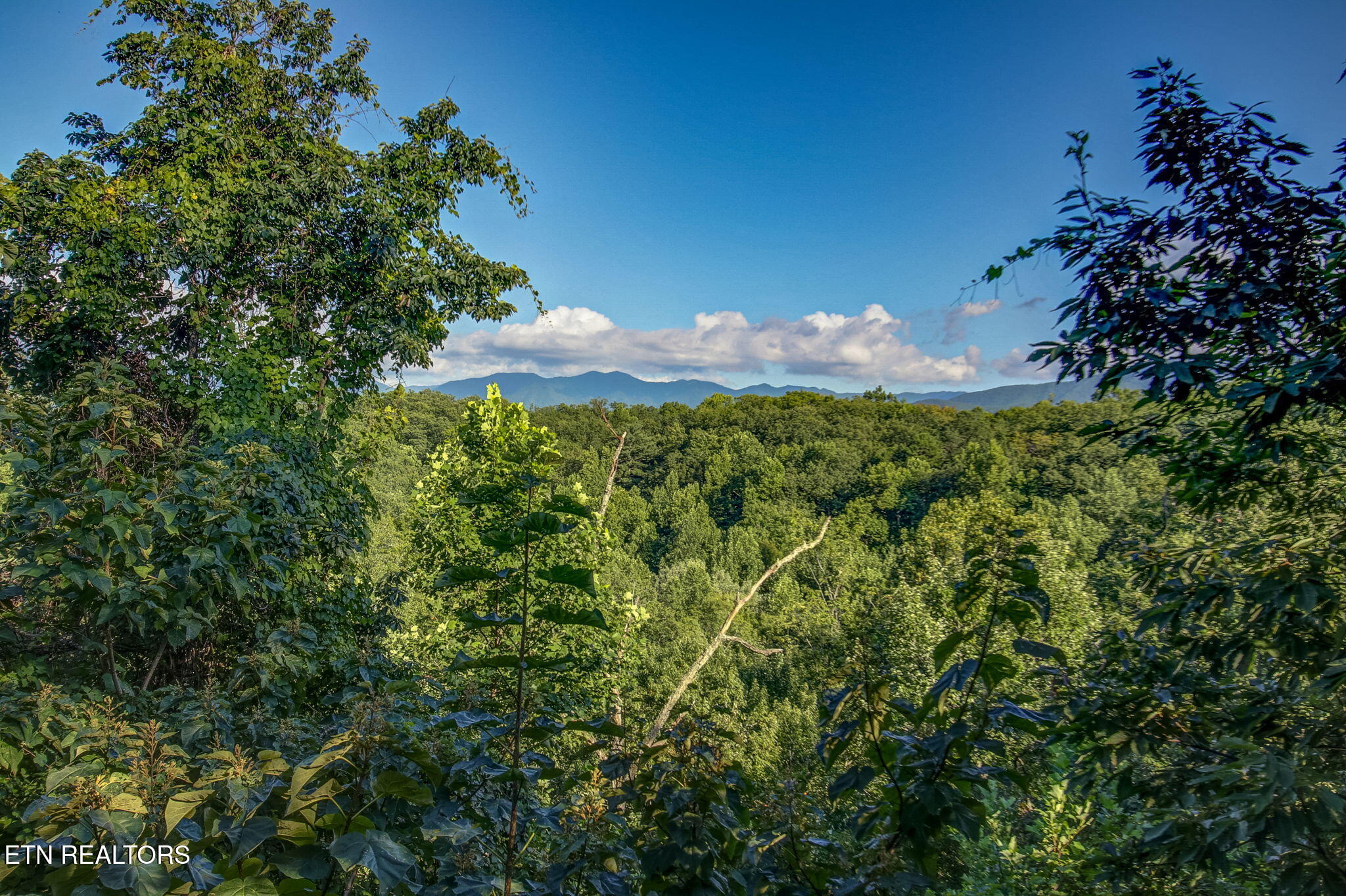 2053 Settlers Ridge Way Gatlinburg TN 37738