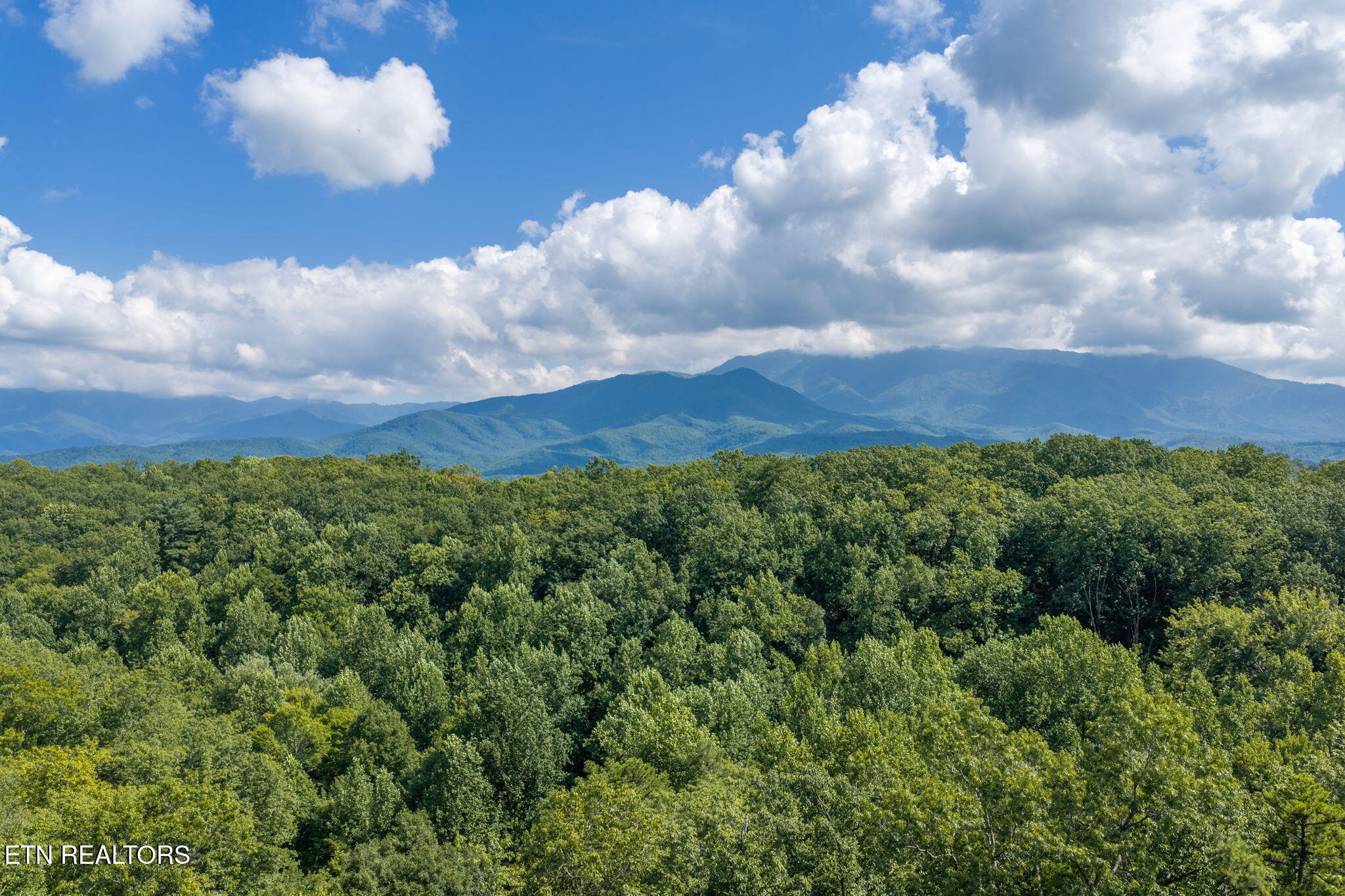 2053 Settlers Ridge Way Gatlinburg TN 37738