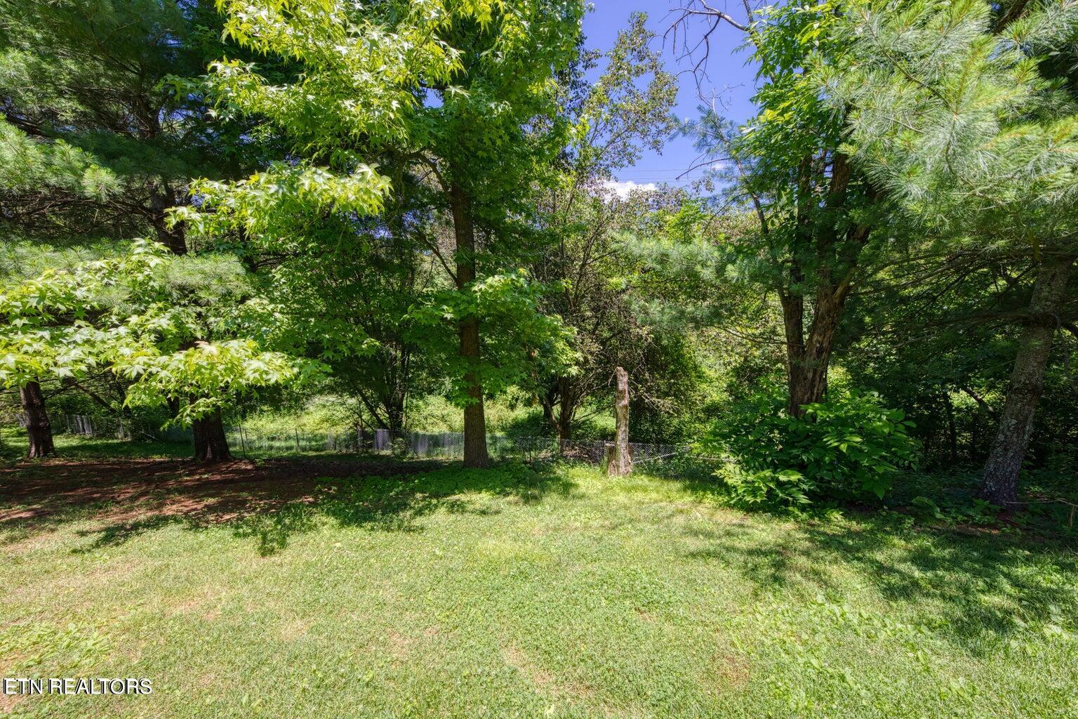 1024 Nod Street Knoxville TN 37932