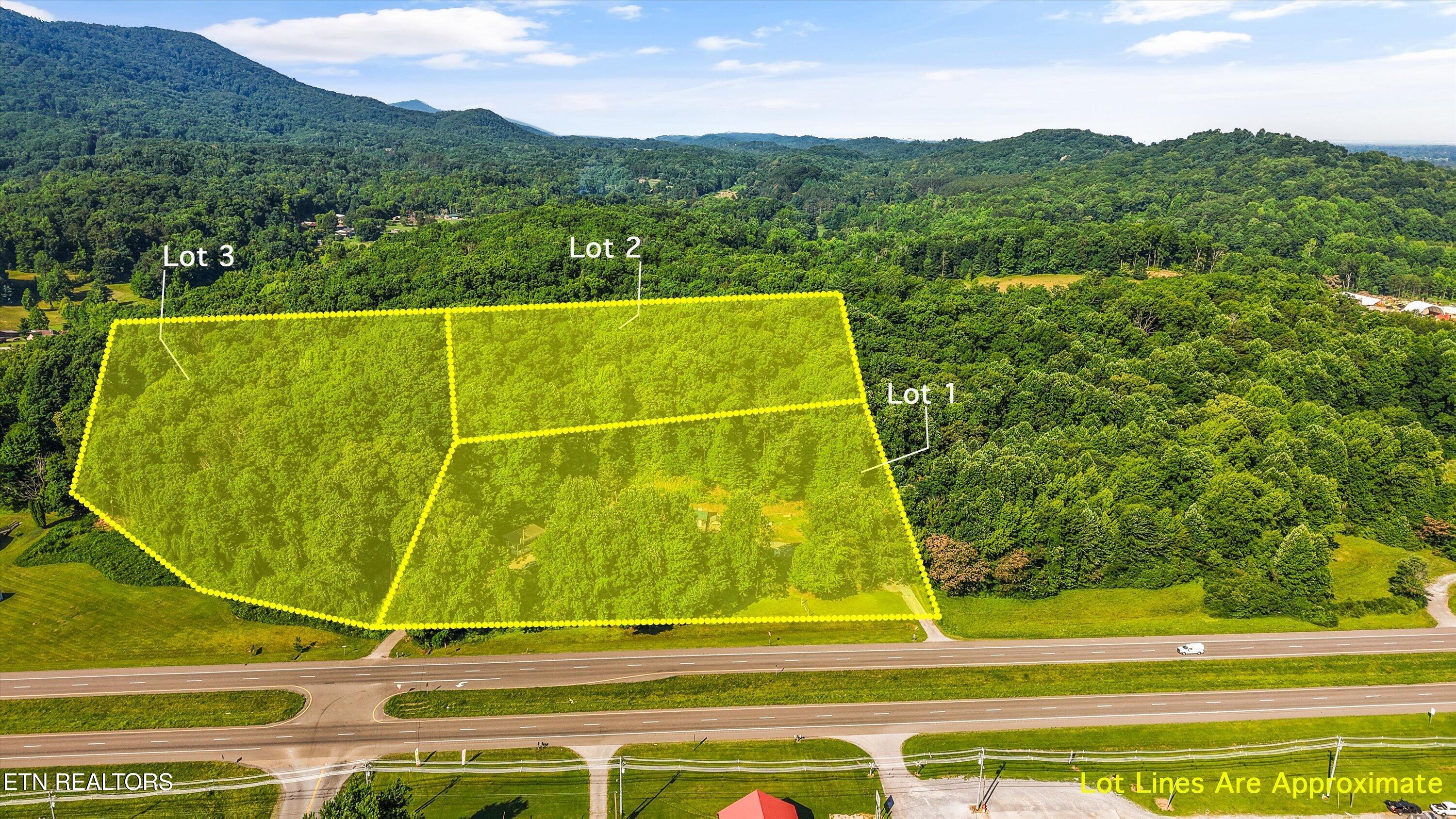 4532 E Lamar Alexander Parkway Walland TN 37886