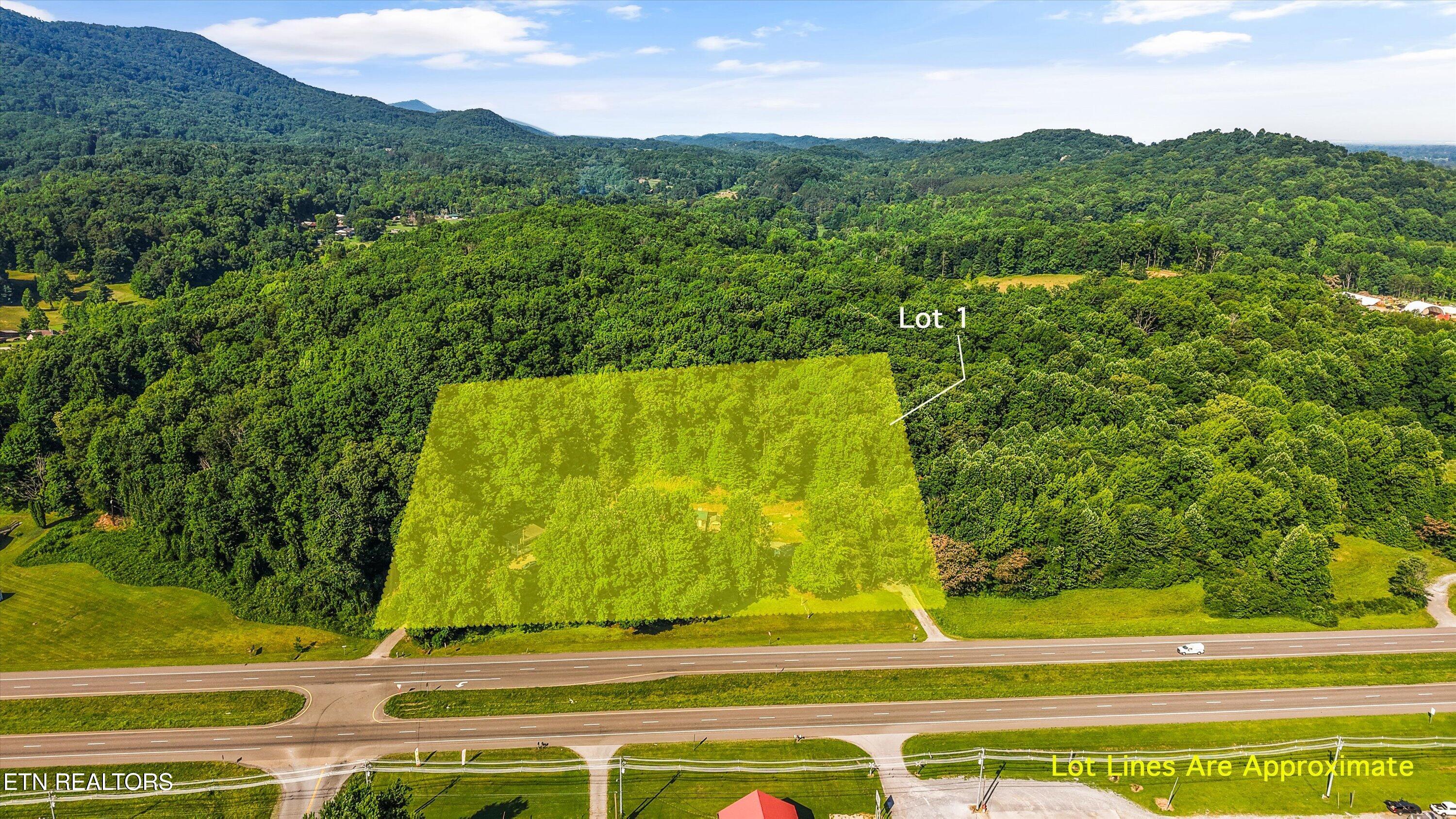 4532 E Lamar Alexander Parkway Walland TN 37886