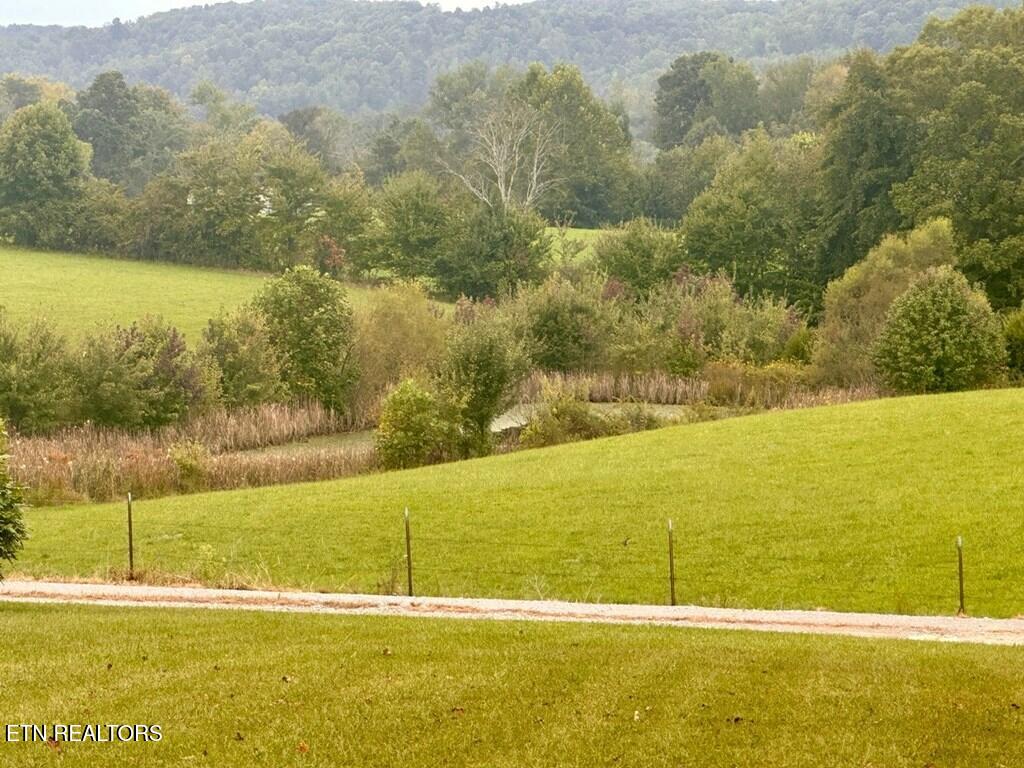 12343 Griffith Road Pikeville TN 37367
