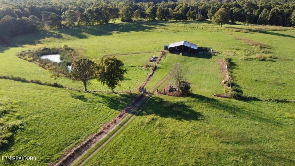 12343 Griffith Road Pikeville TN 37367