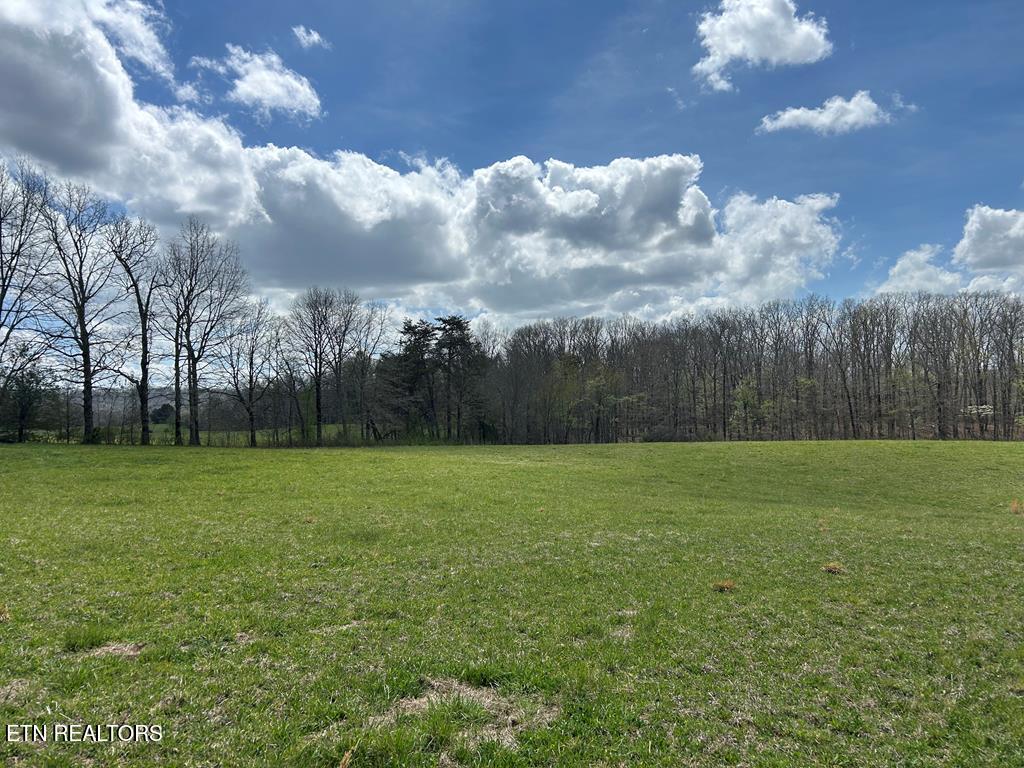 12343 Griffith Road Pikeville TN 37367
