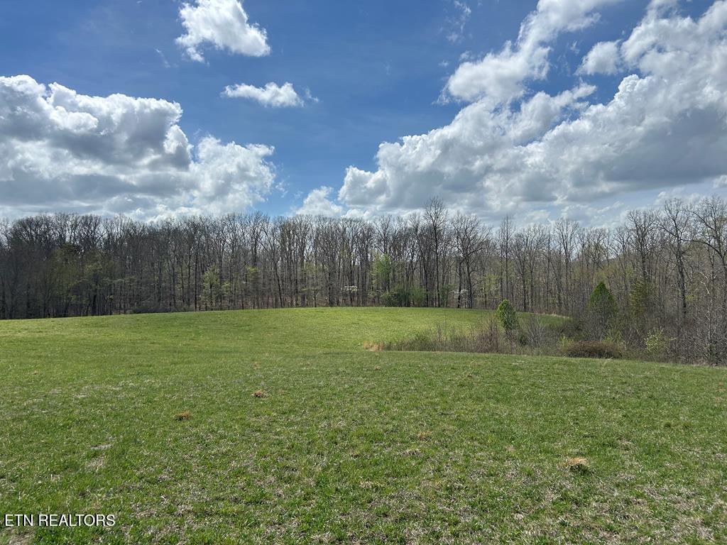 12343 Griffith Road Pikeville TN 37367