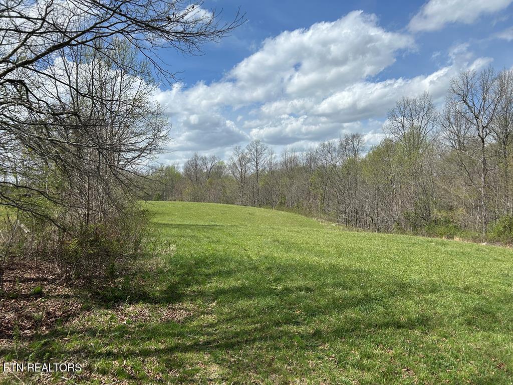 12343 Griffith Road Pikeville TN 37367