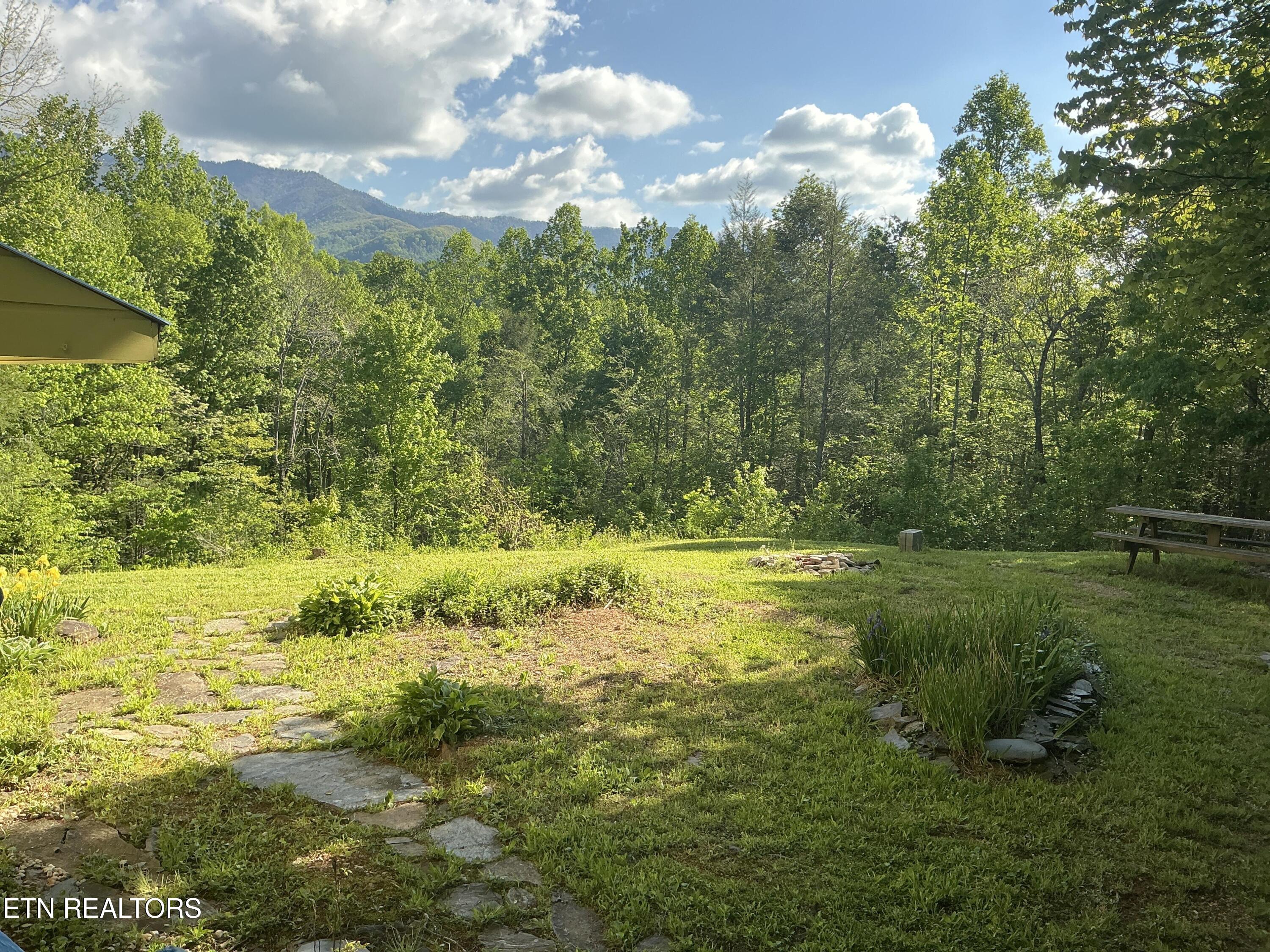 5475 Otto Williams Road Cosby TN 37722