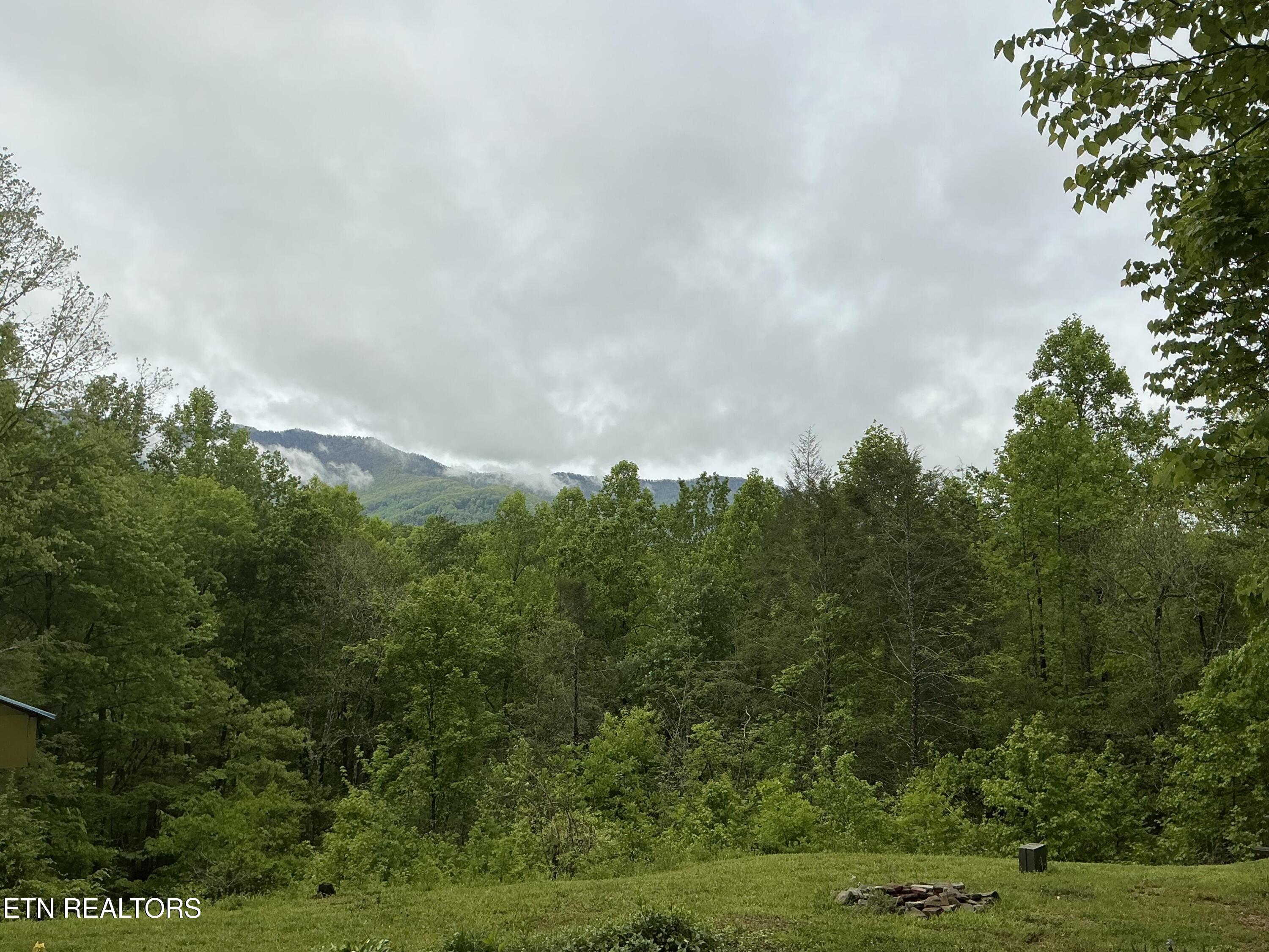 5475 Otto Williams Road Cosby TN 37722