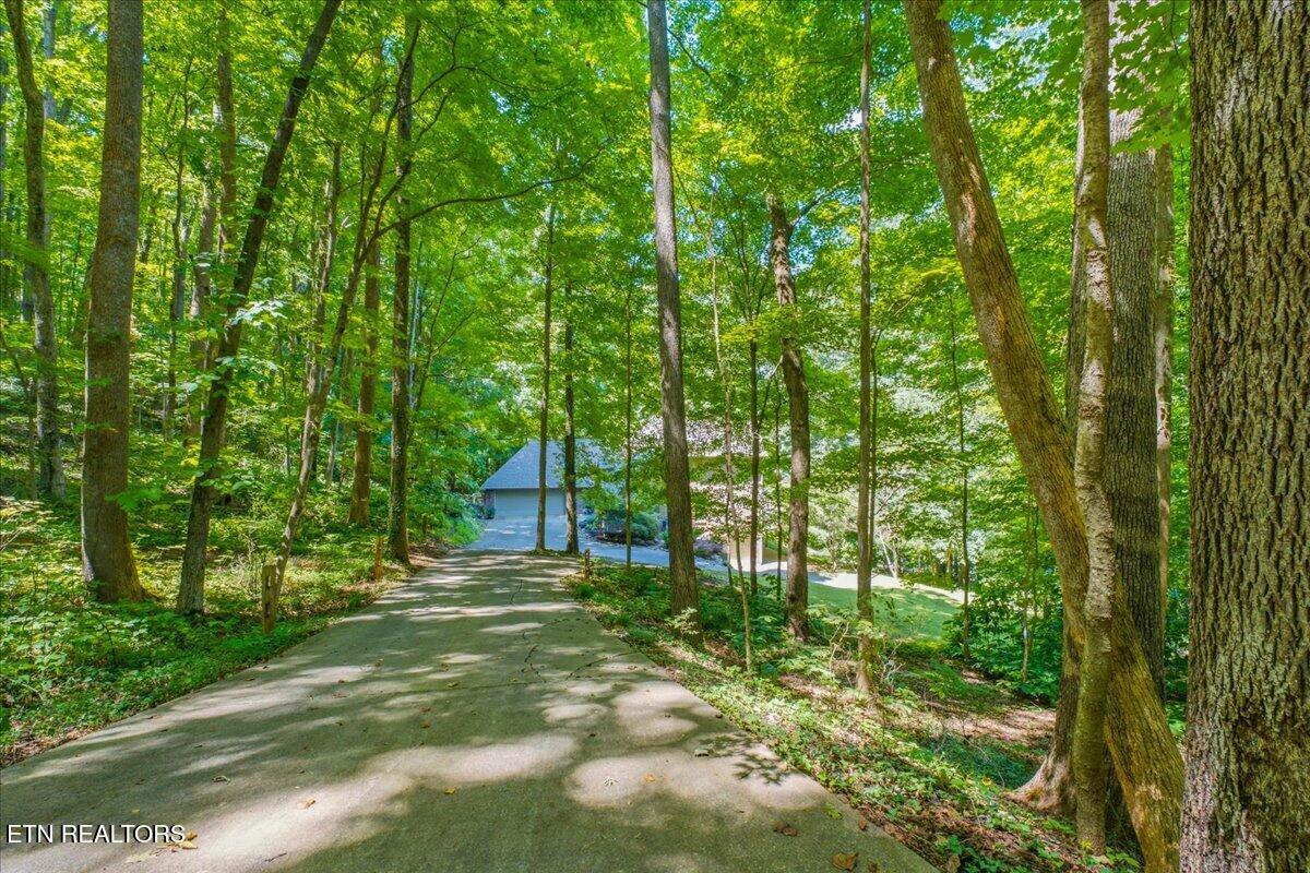 4511 Clinch View Lane Knoxville TN 37931