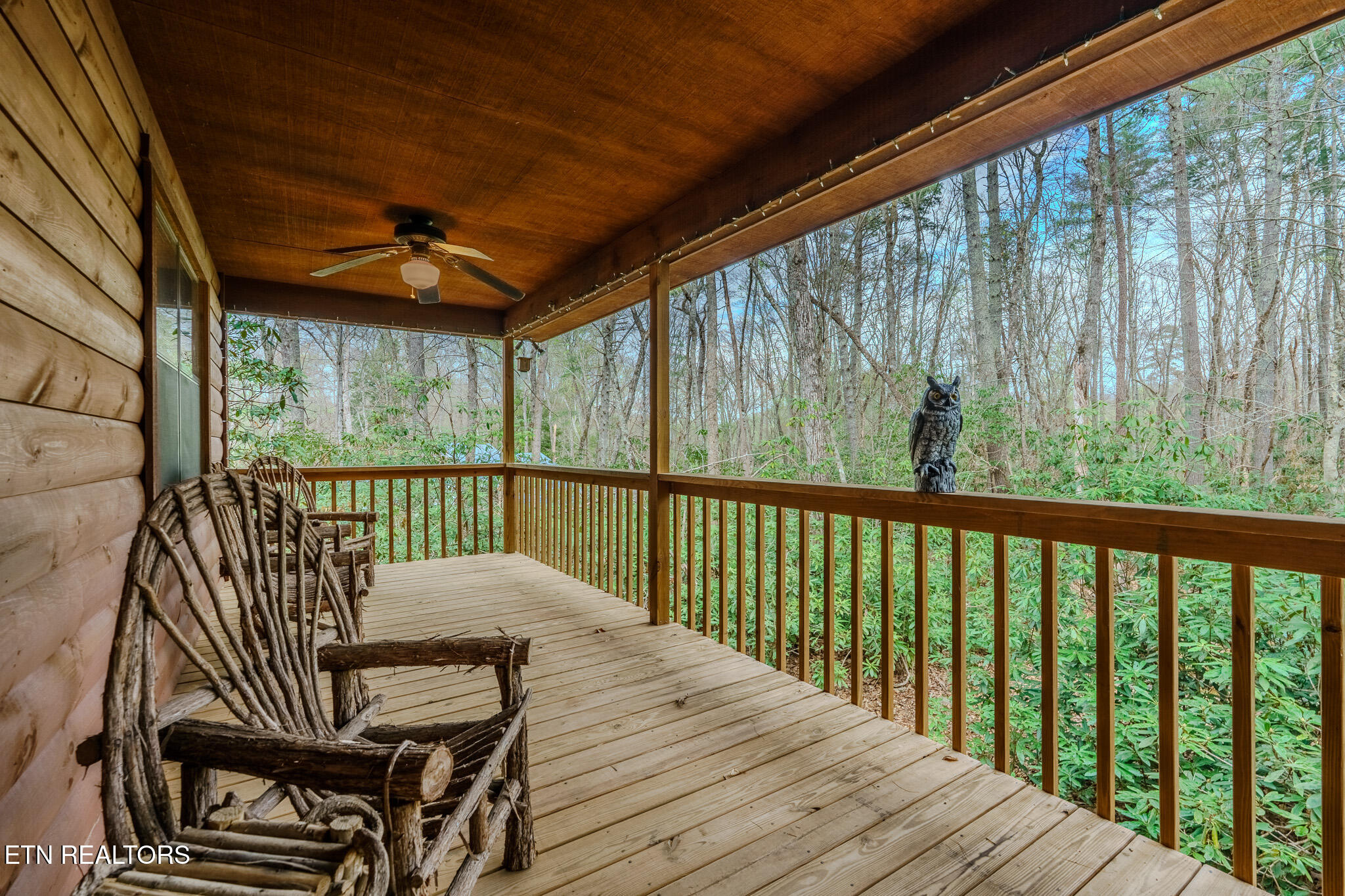 3386 Rocky Ridge Road Cosby TN 37722
