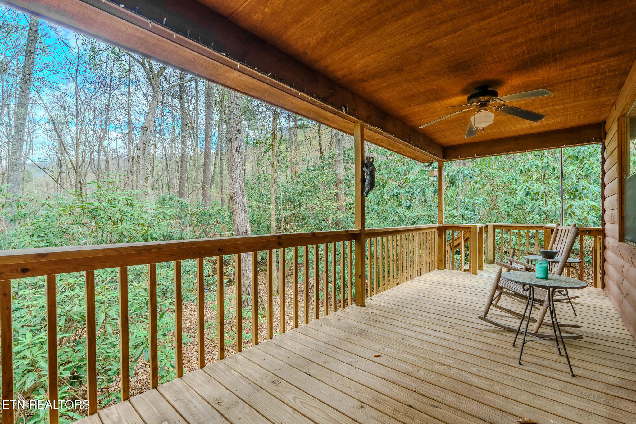 3386 Rocky Ridge Road Cosby TN 37722