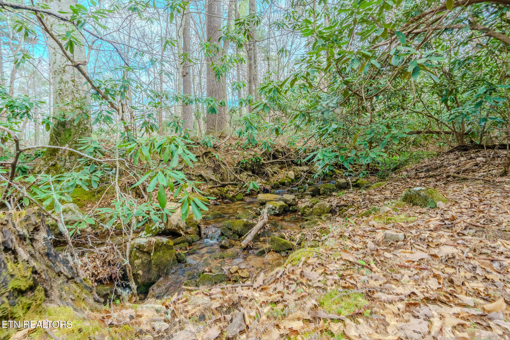 3386 Rocky Ridge Road Cosby TN 37722