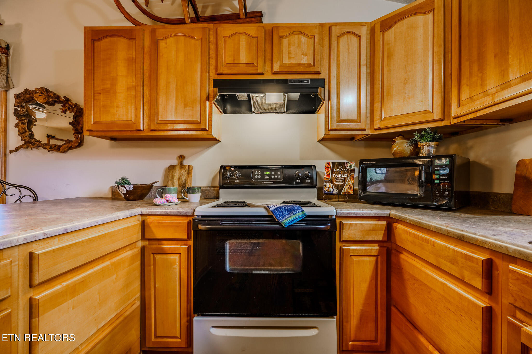 3386 Rocky Ridge Road Cosby TN 37722